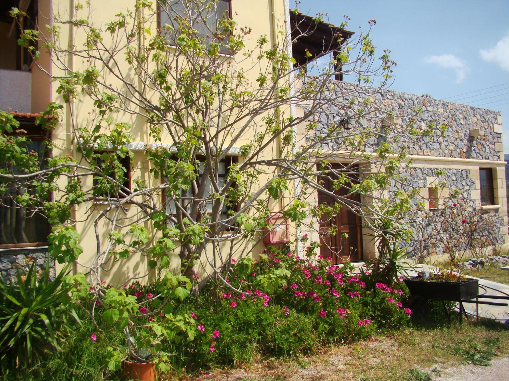 Drapania Beach Marinakis