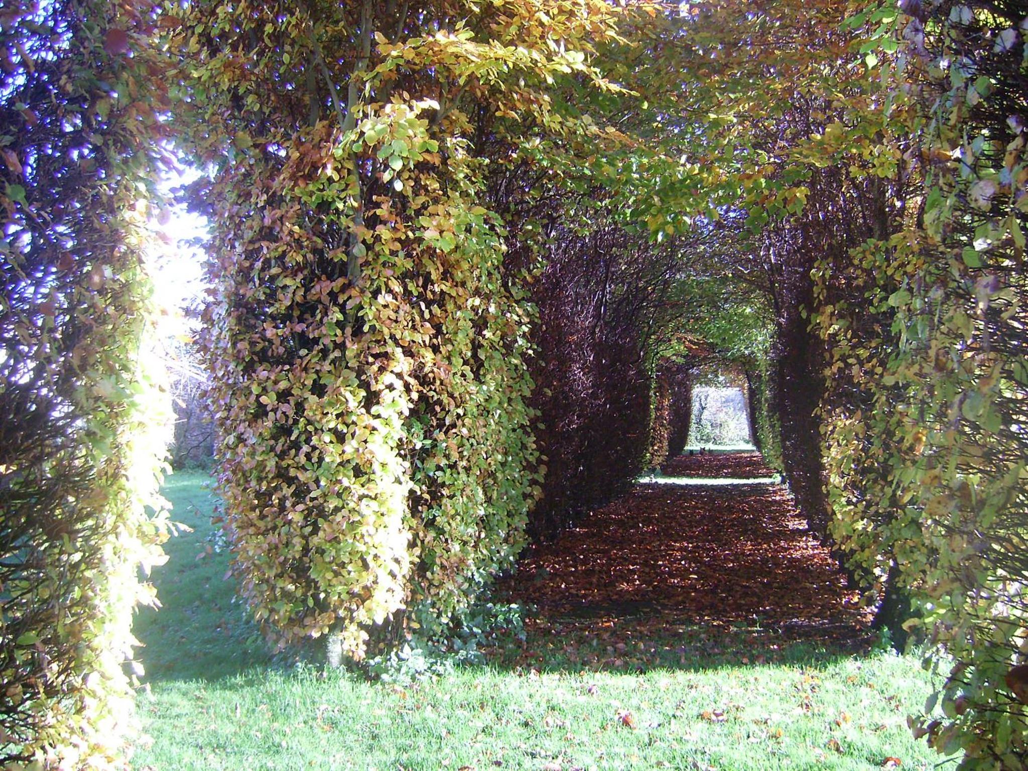 Photo 32