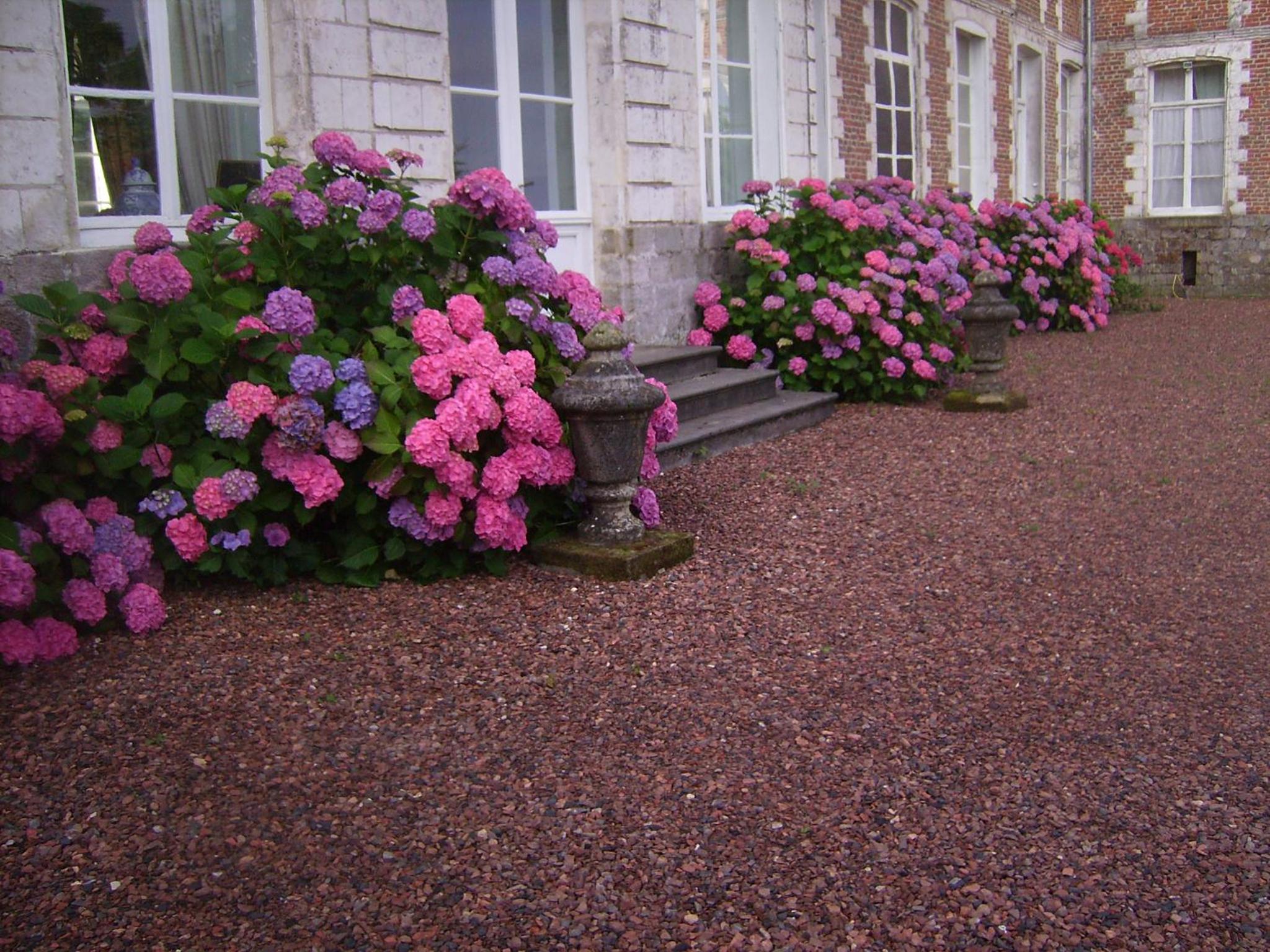 Photo 33
