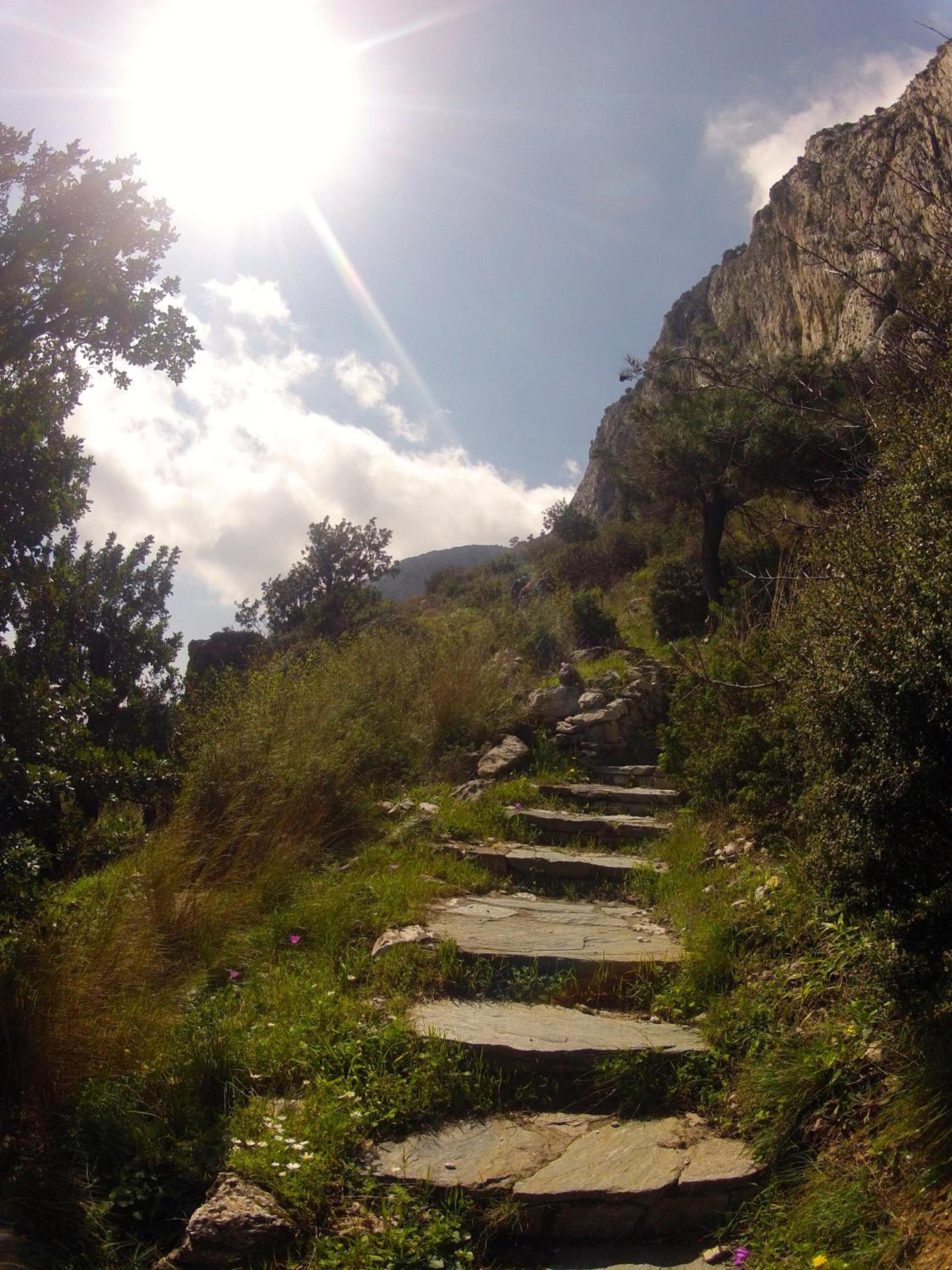 Photo 45