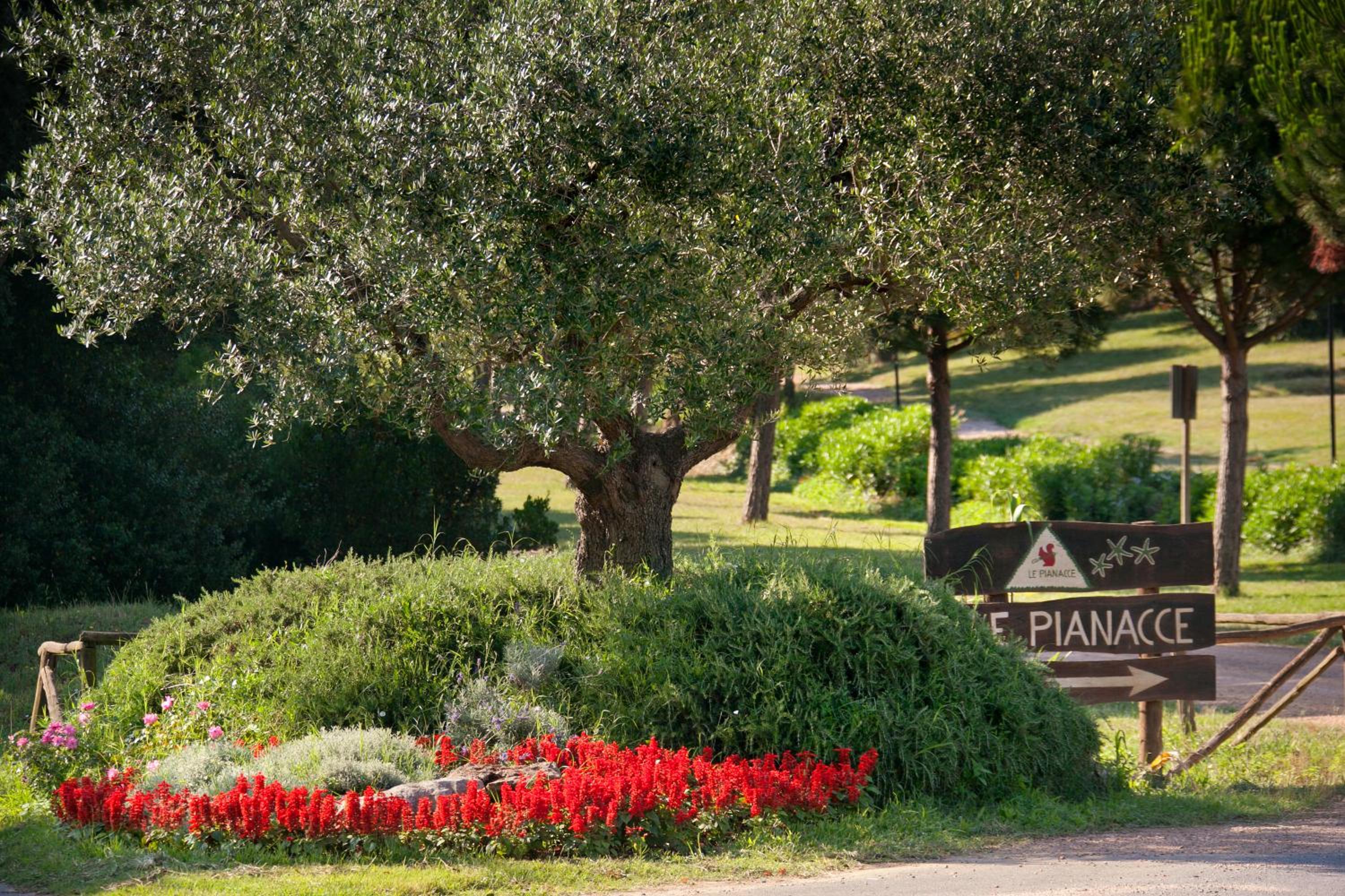 Le Pianacce Camping Village