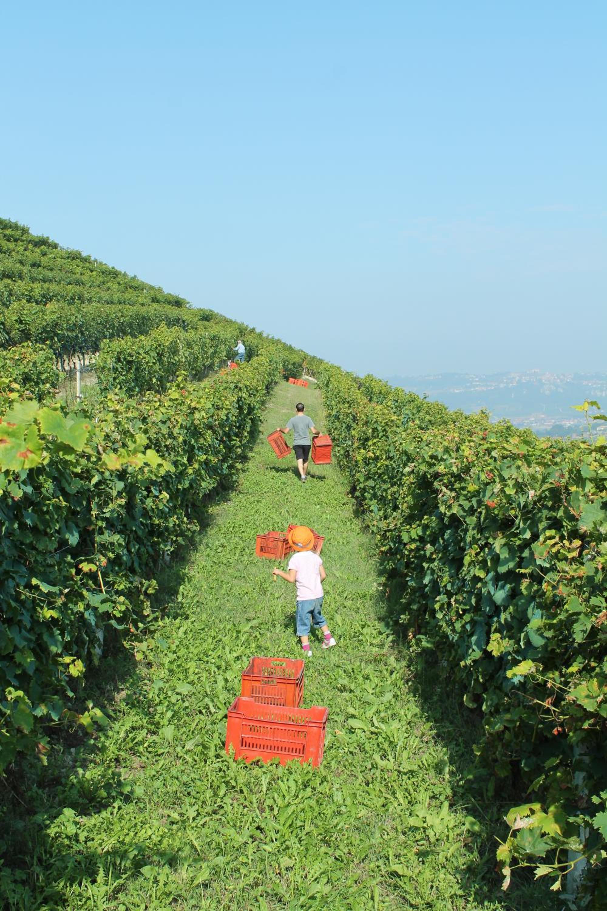 Agriturismo Il Bricco