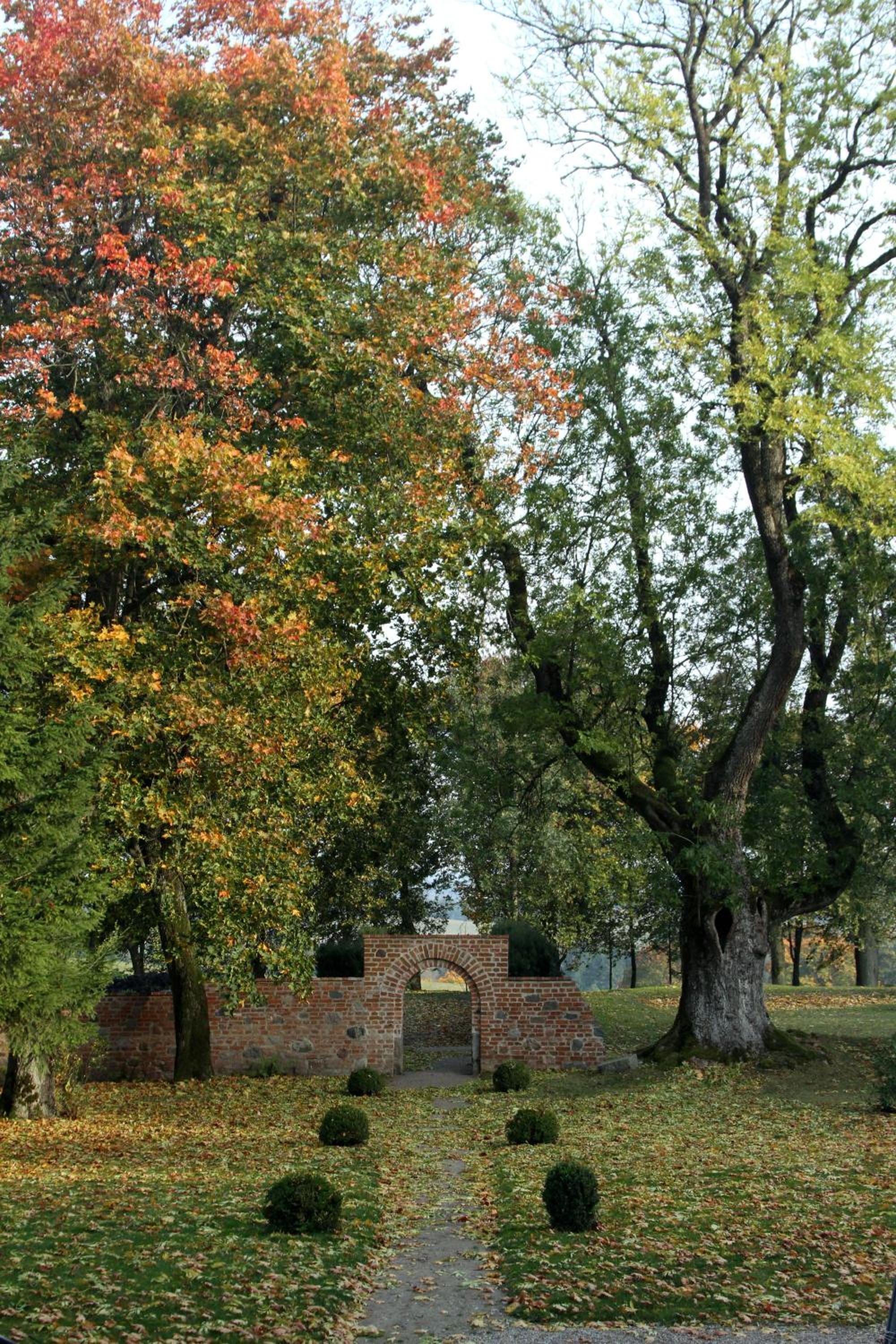 garden