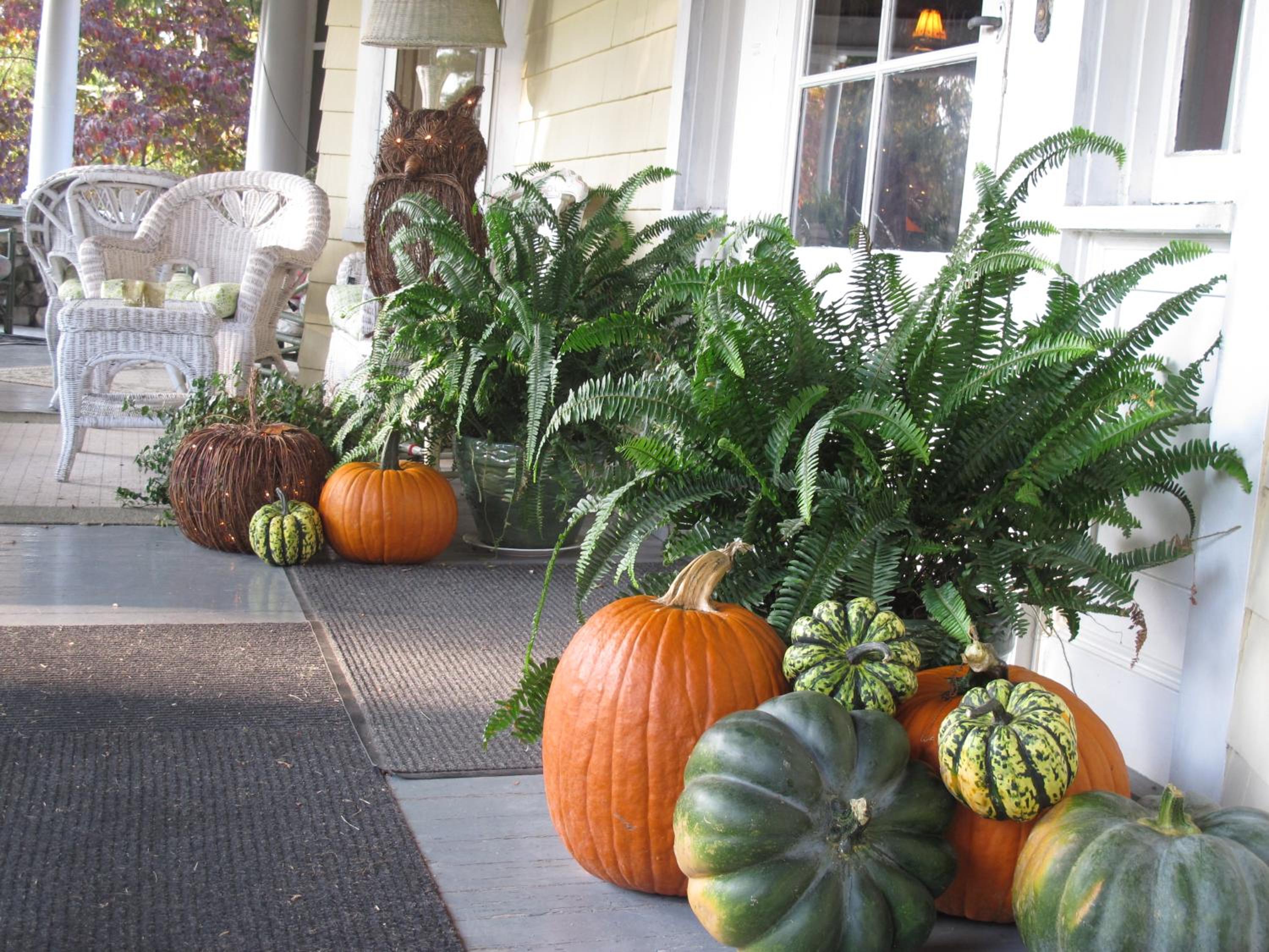 Hilltop House Bed Breakfast - Property Image 24