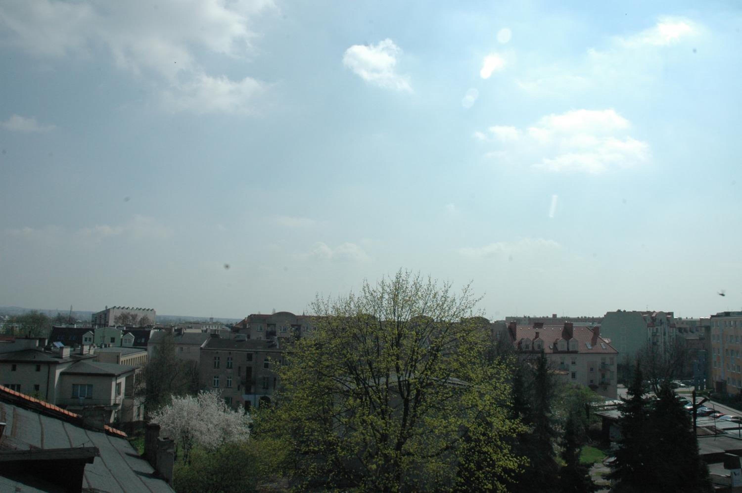 Photo 37