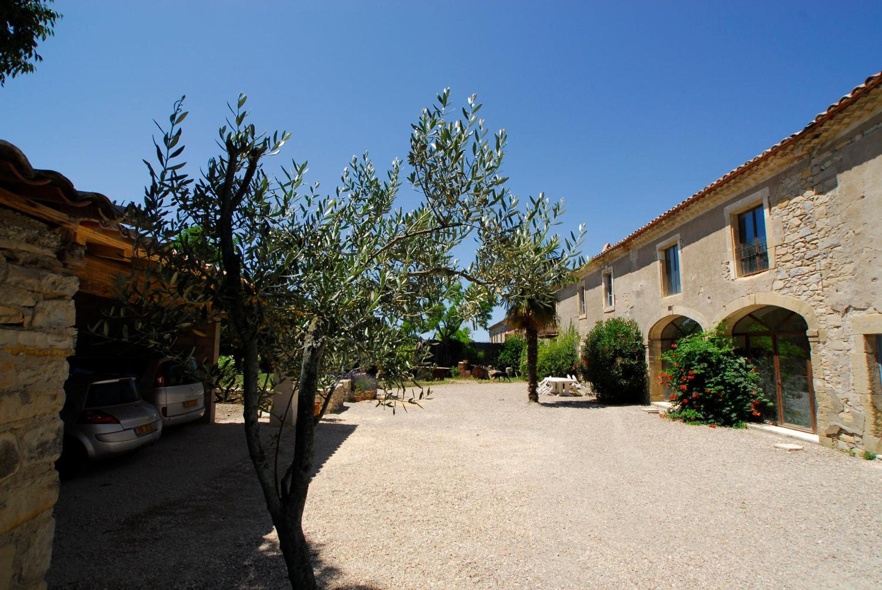 Le Coing des Vignes