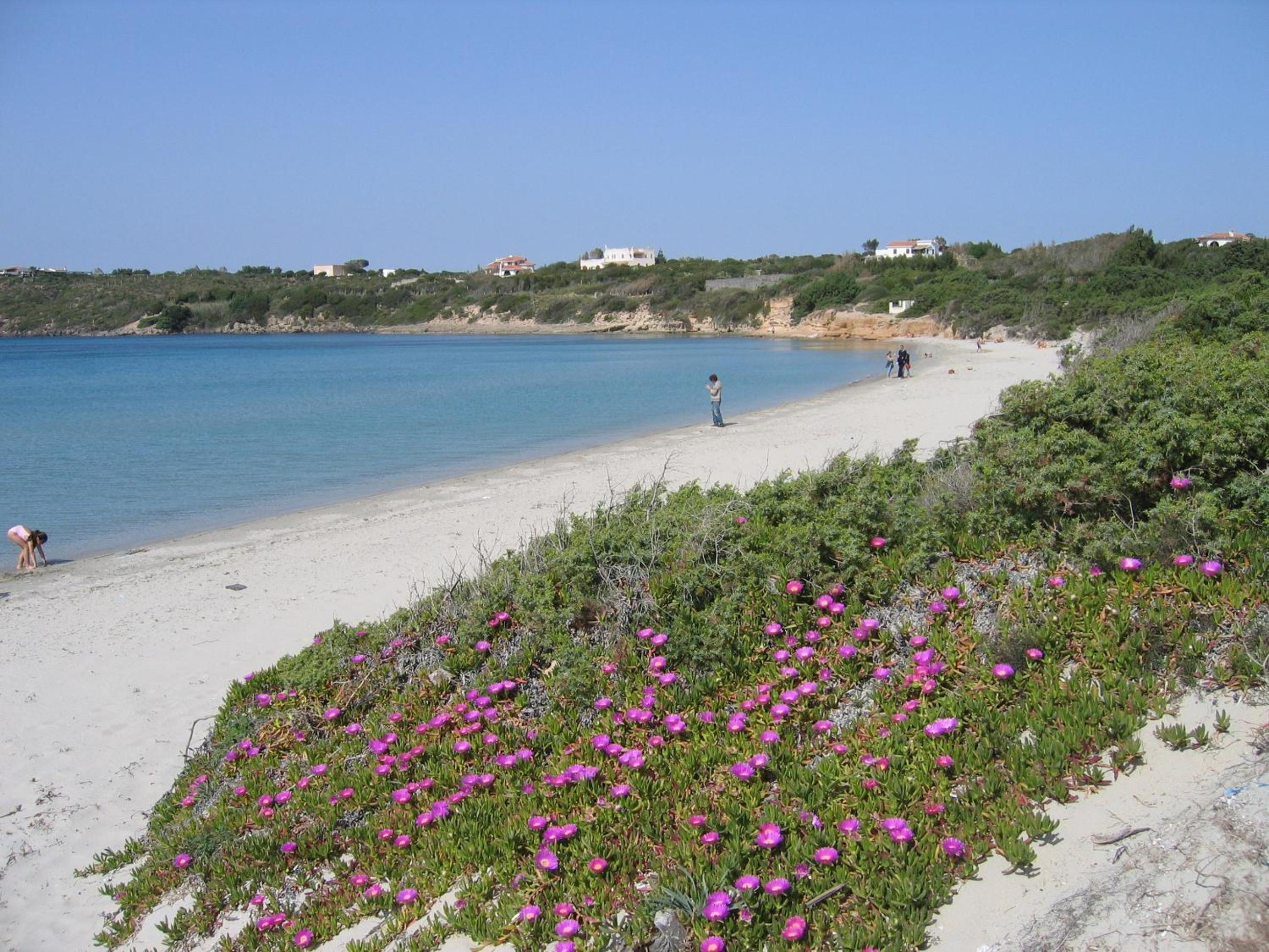 B&B Domus Oriens - monolocale indipendente in villa