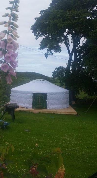 The Yurt view 5