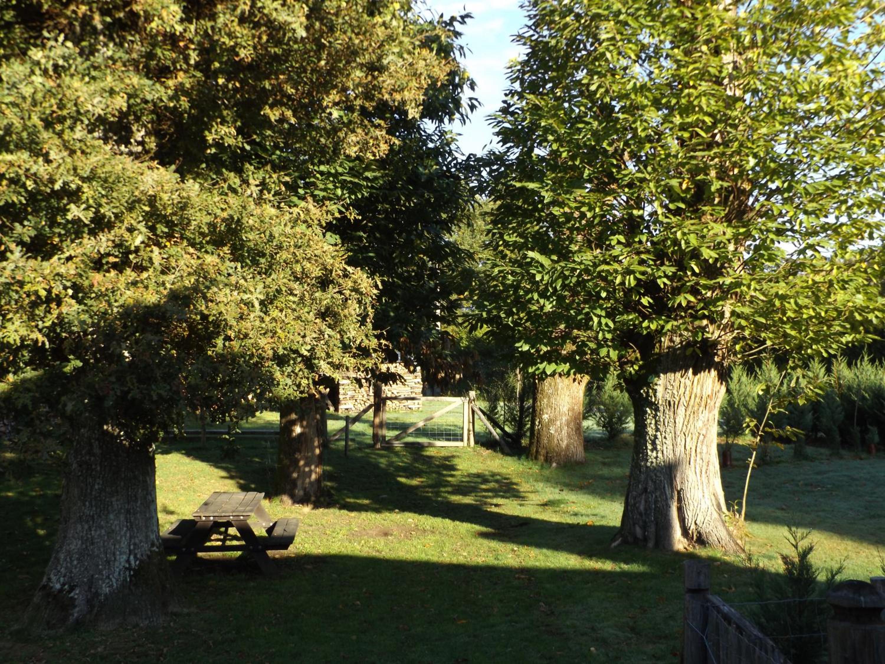 Cottage in Dordogne view 4