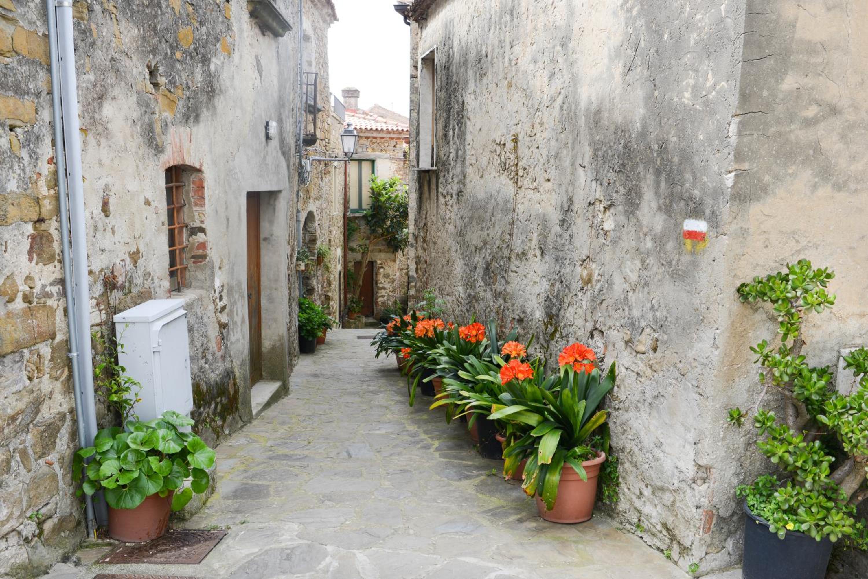 Appartamenti Le Giare Cannicchio view 3