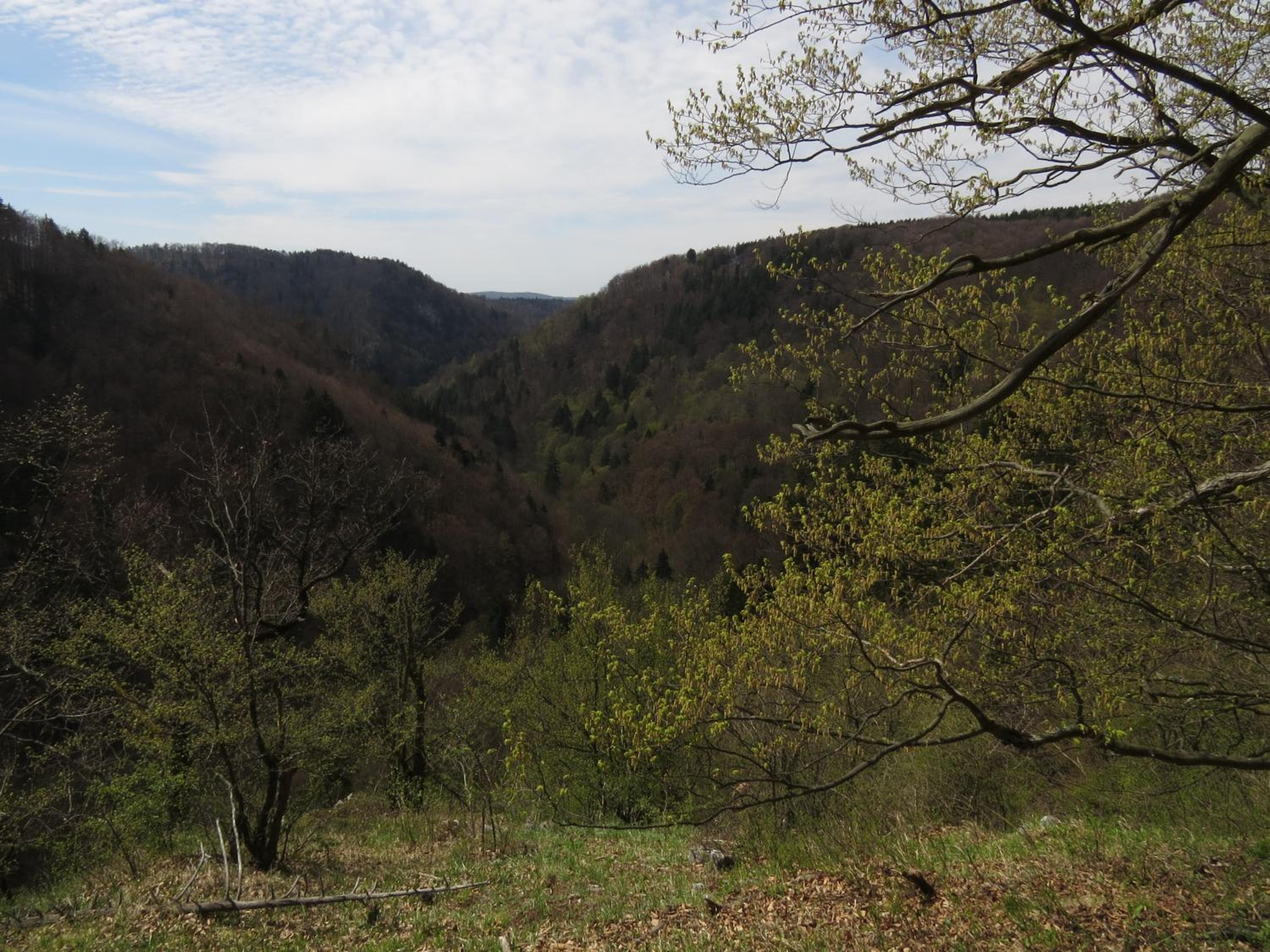 Photo 29