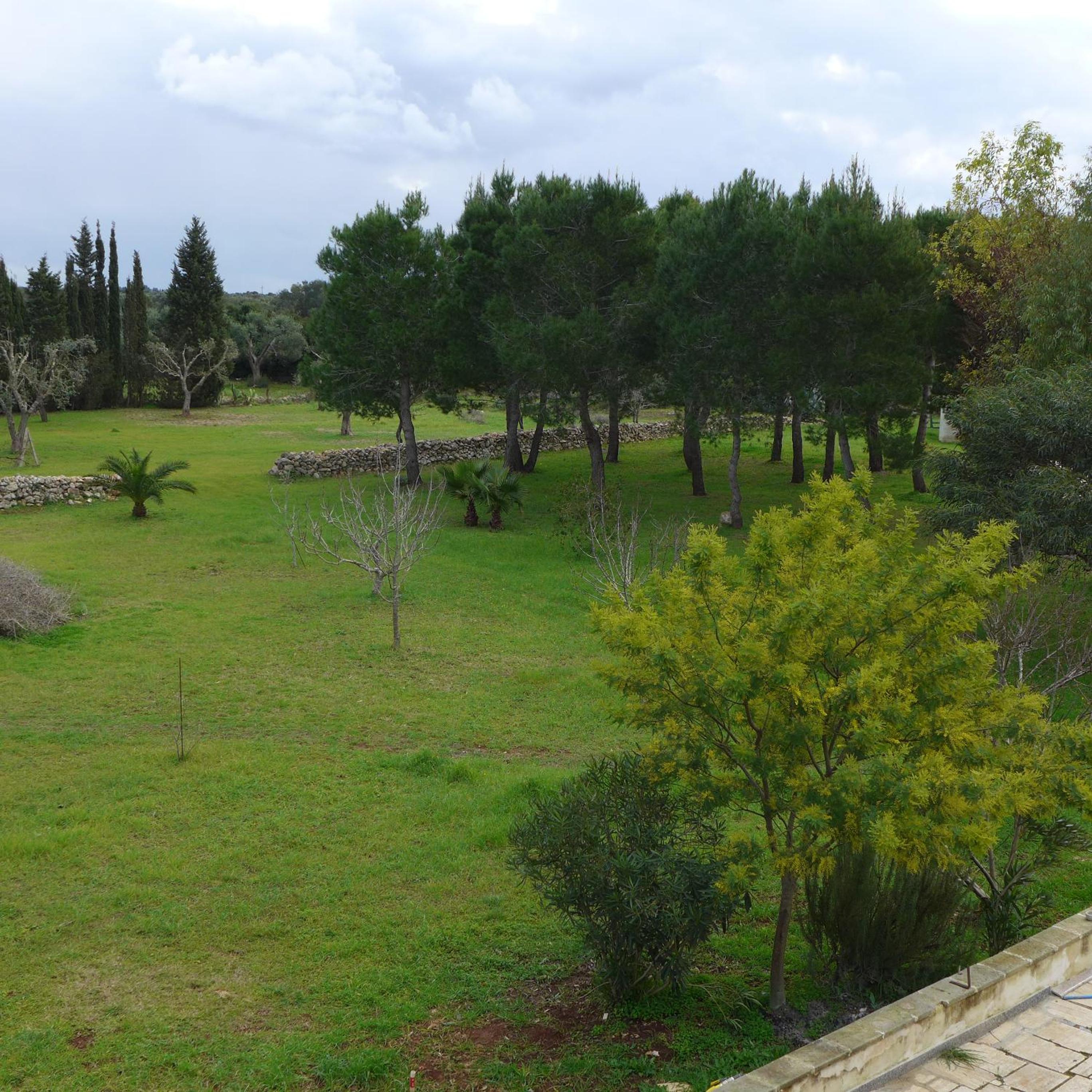 Photo 20