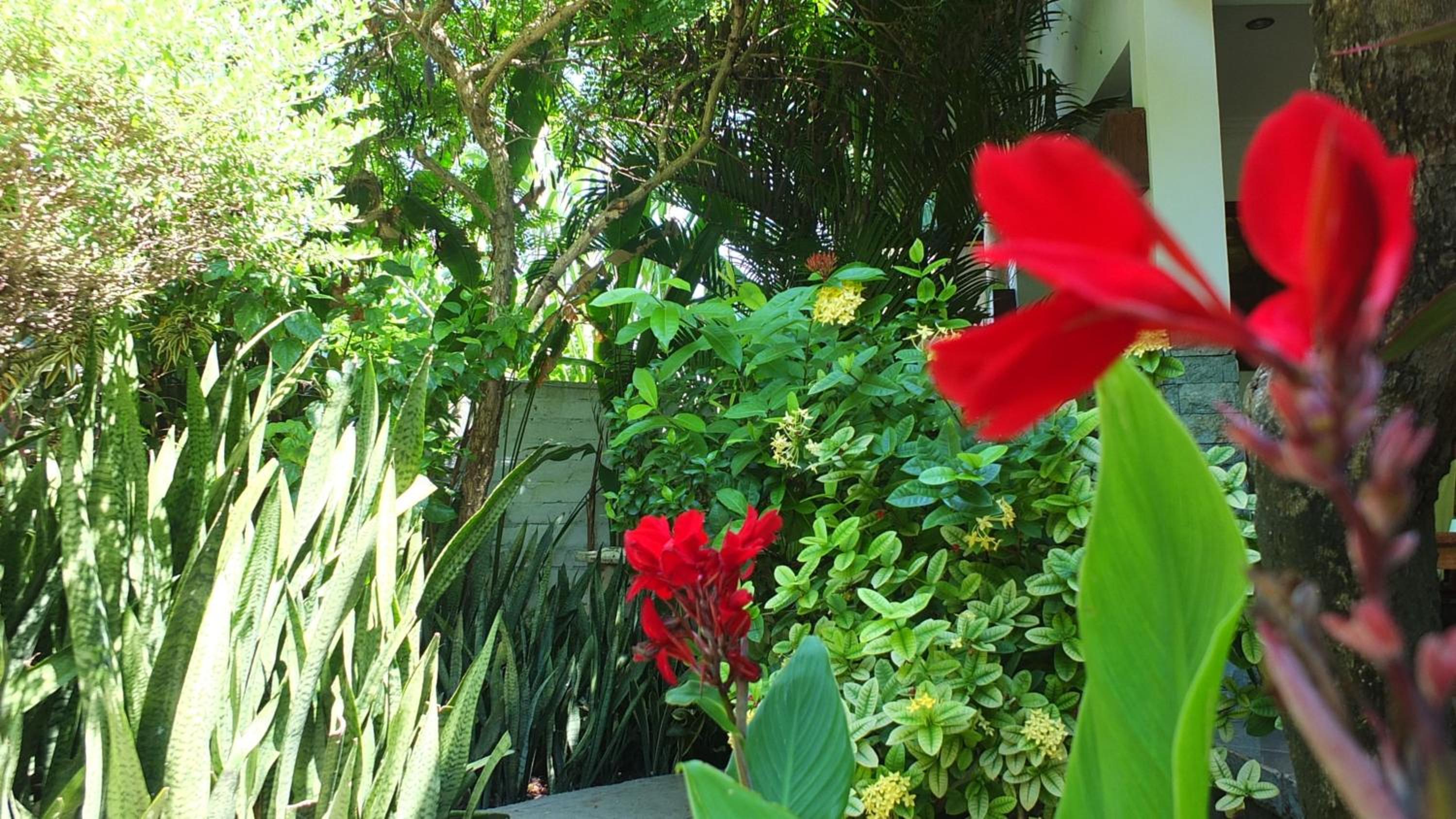 Ricel Homestay