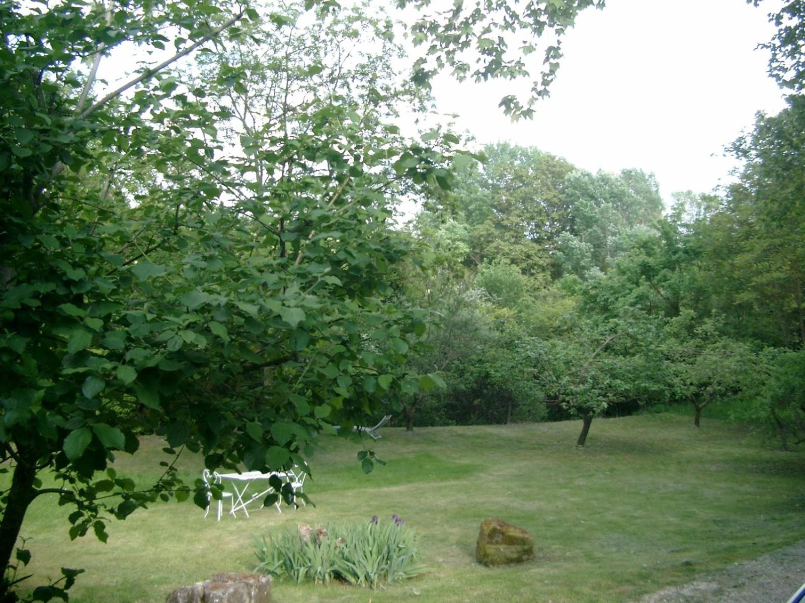 Photo 23