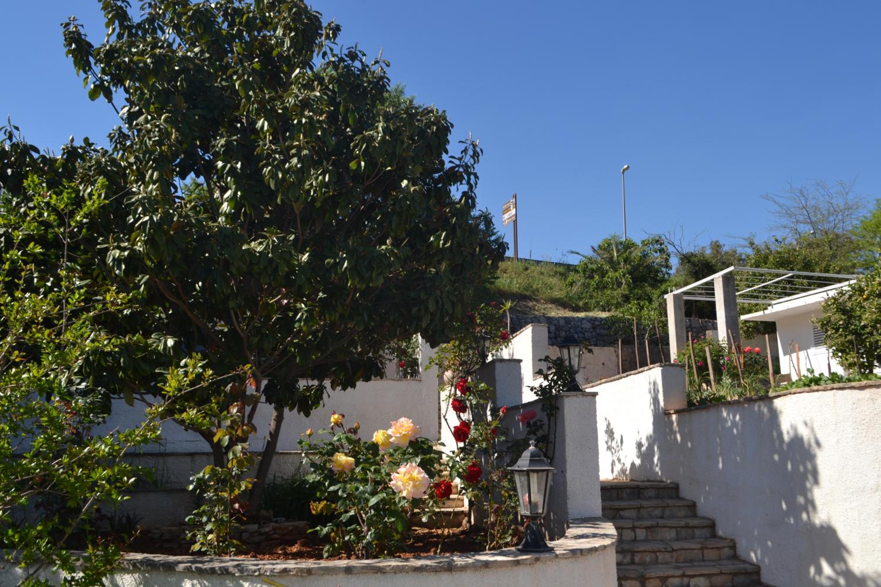 Madonna Guest House