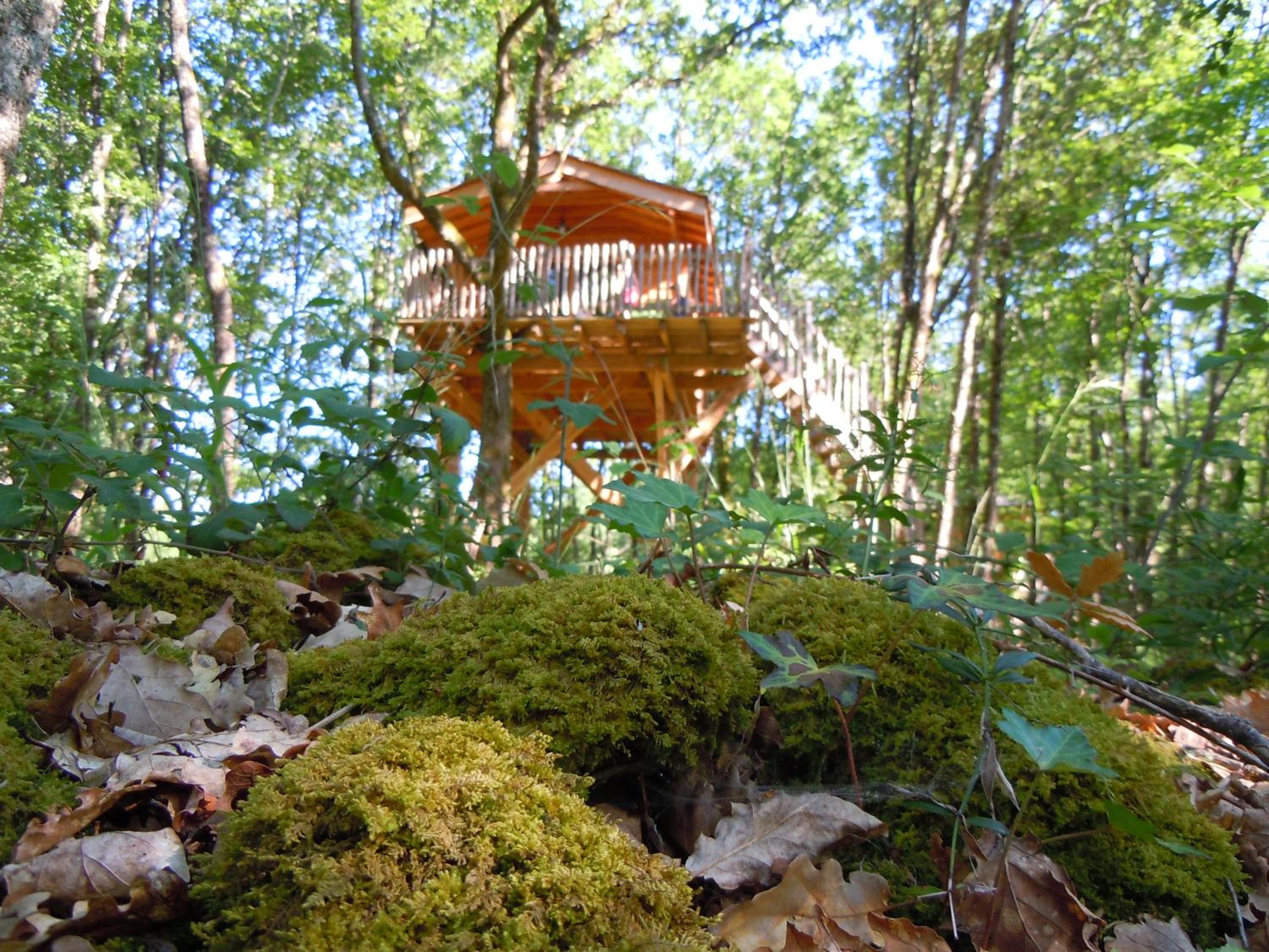 Cabane Perchée Spa Dordogne La Ferme de Sirguet
