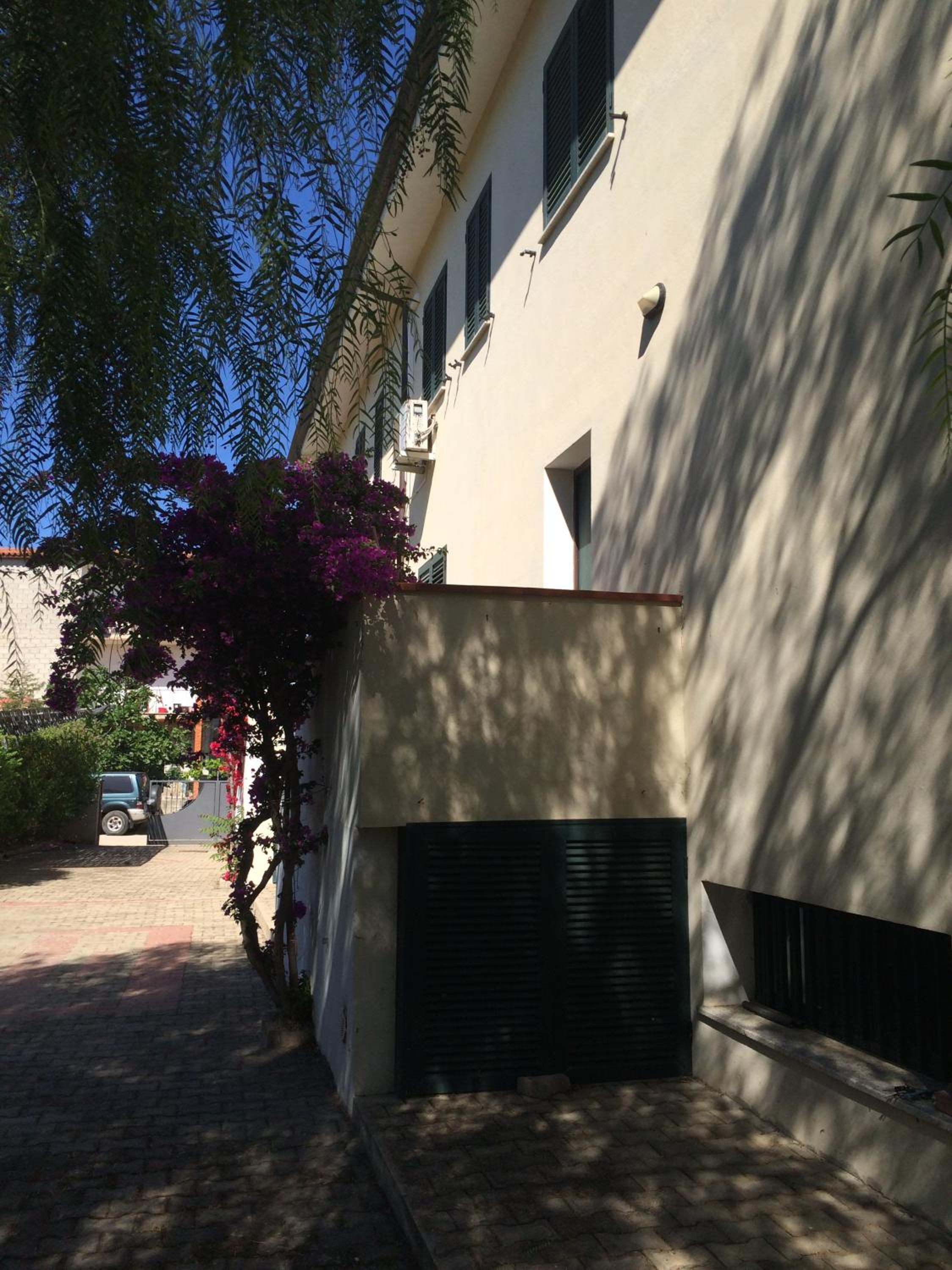 Photo 49