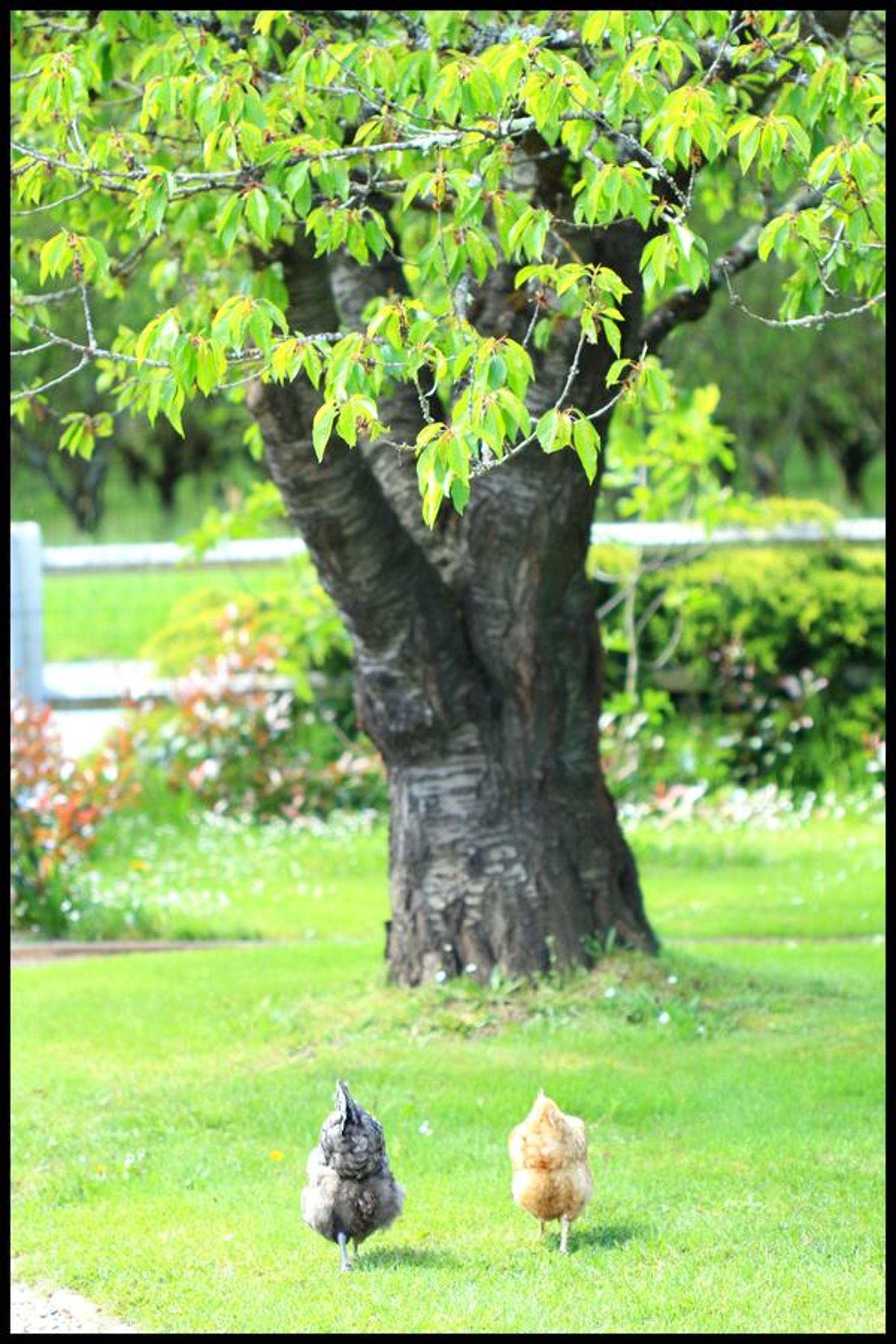Photo 24