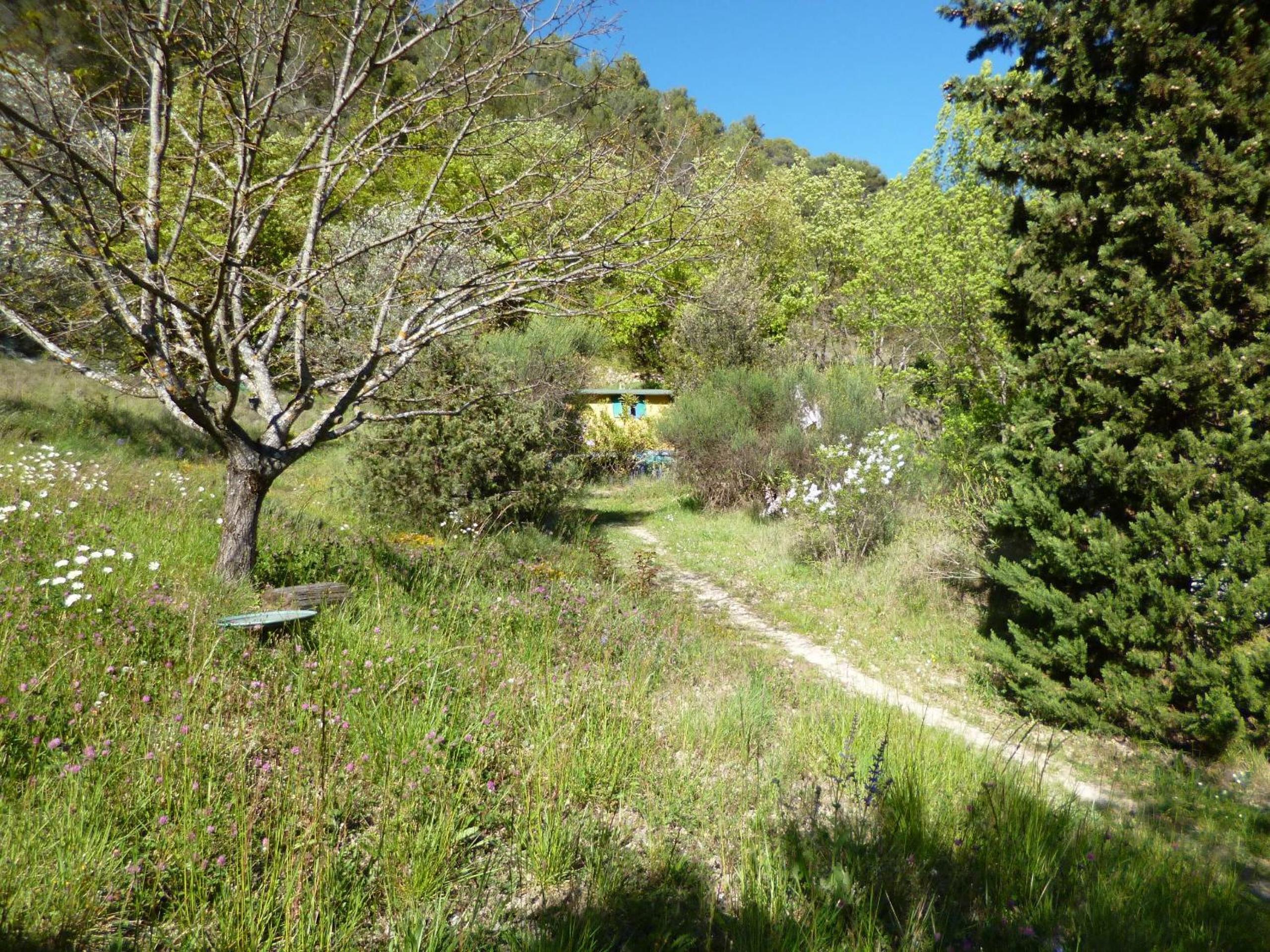 Roulotte view 4