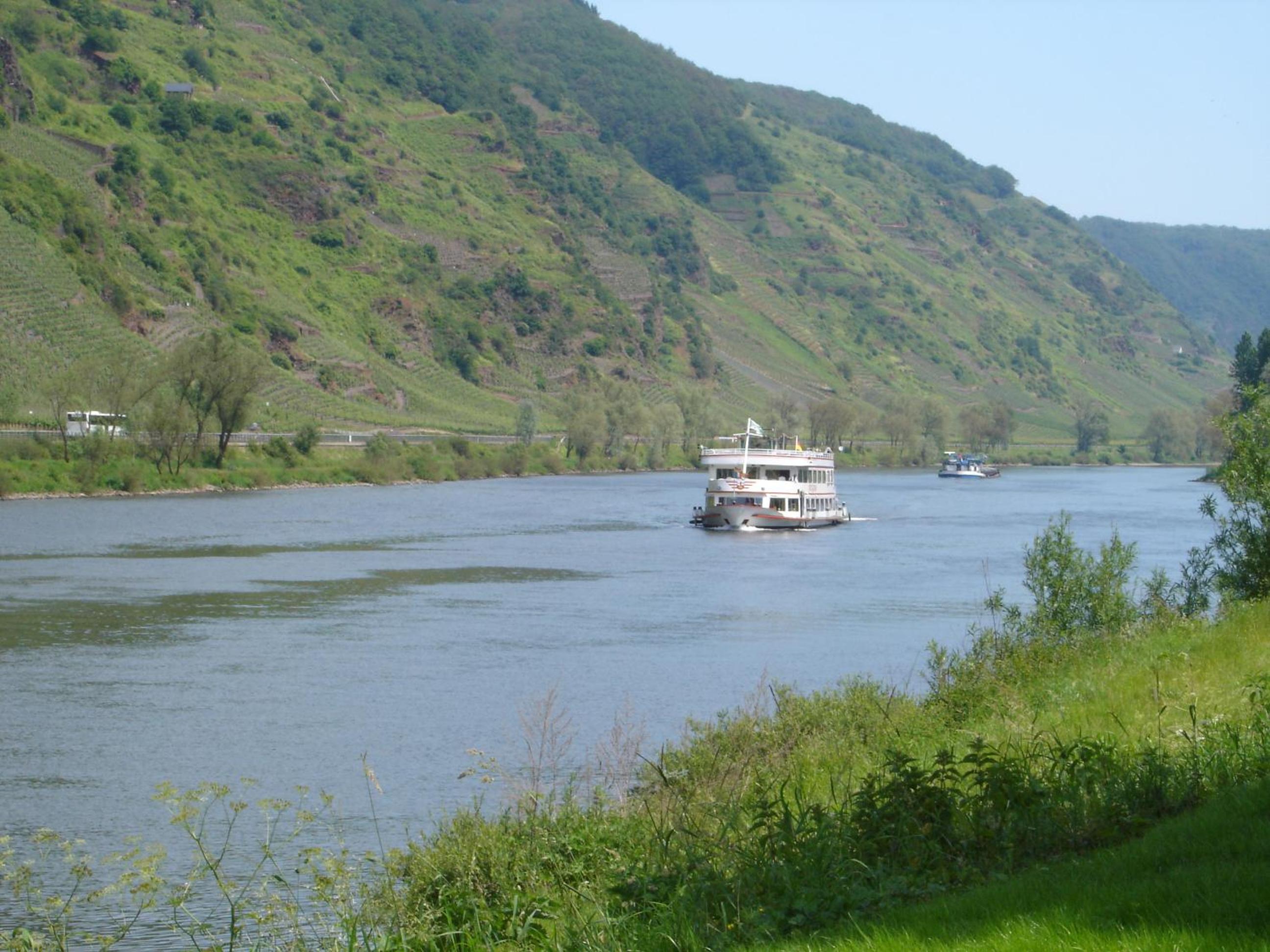 Photo 43