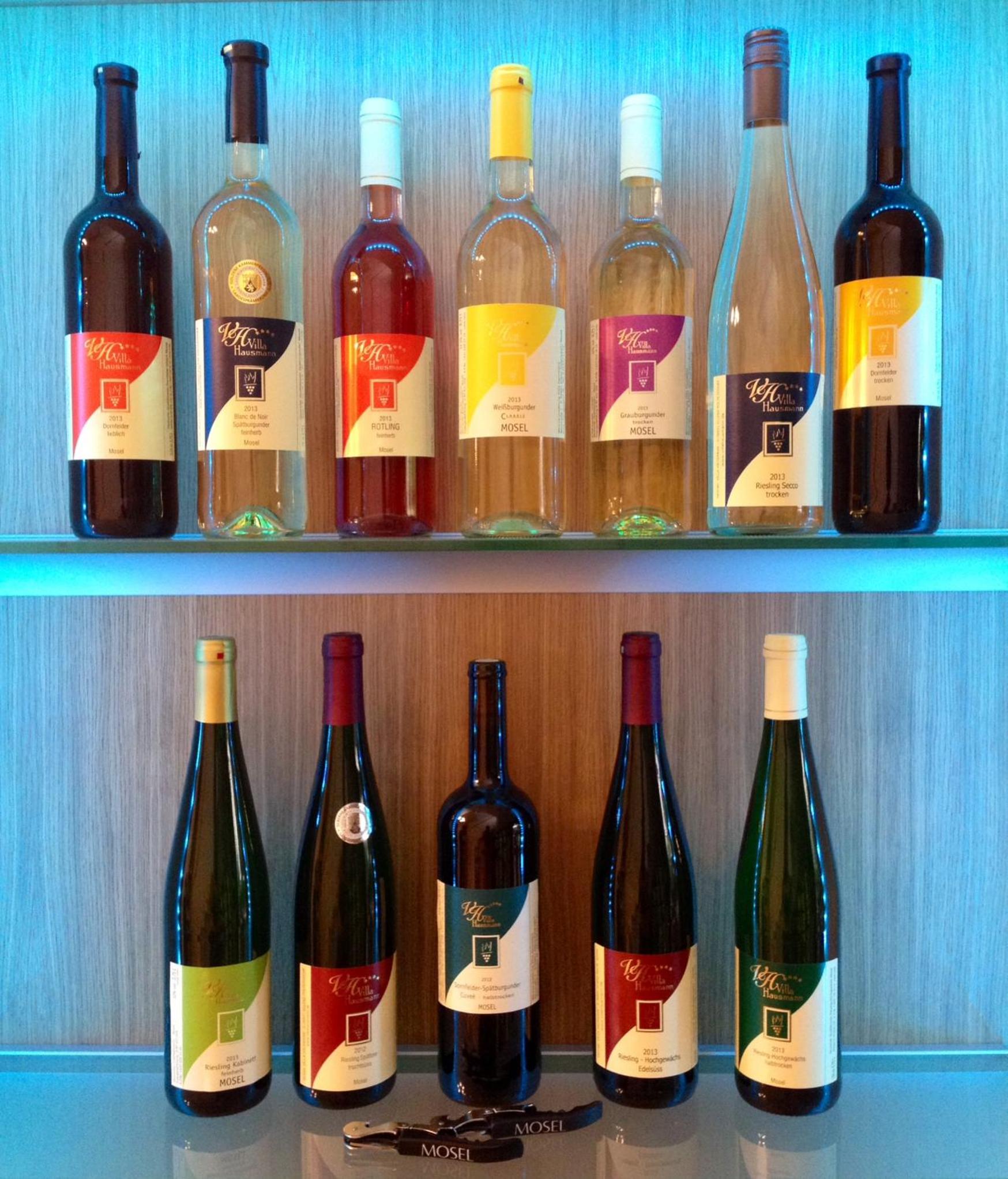 Ferienweingut Villa Hausmann