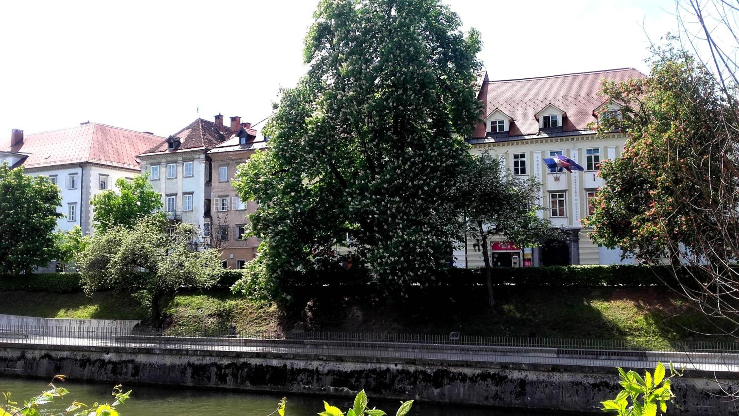 Photo 37