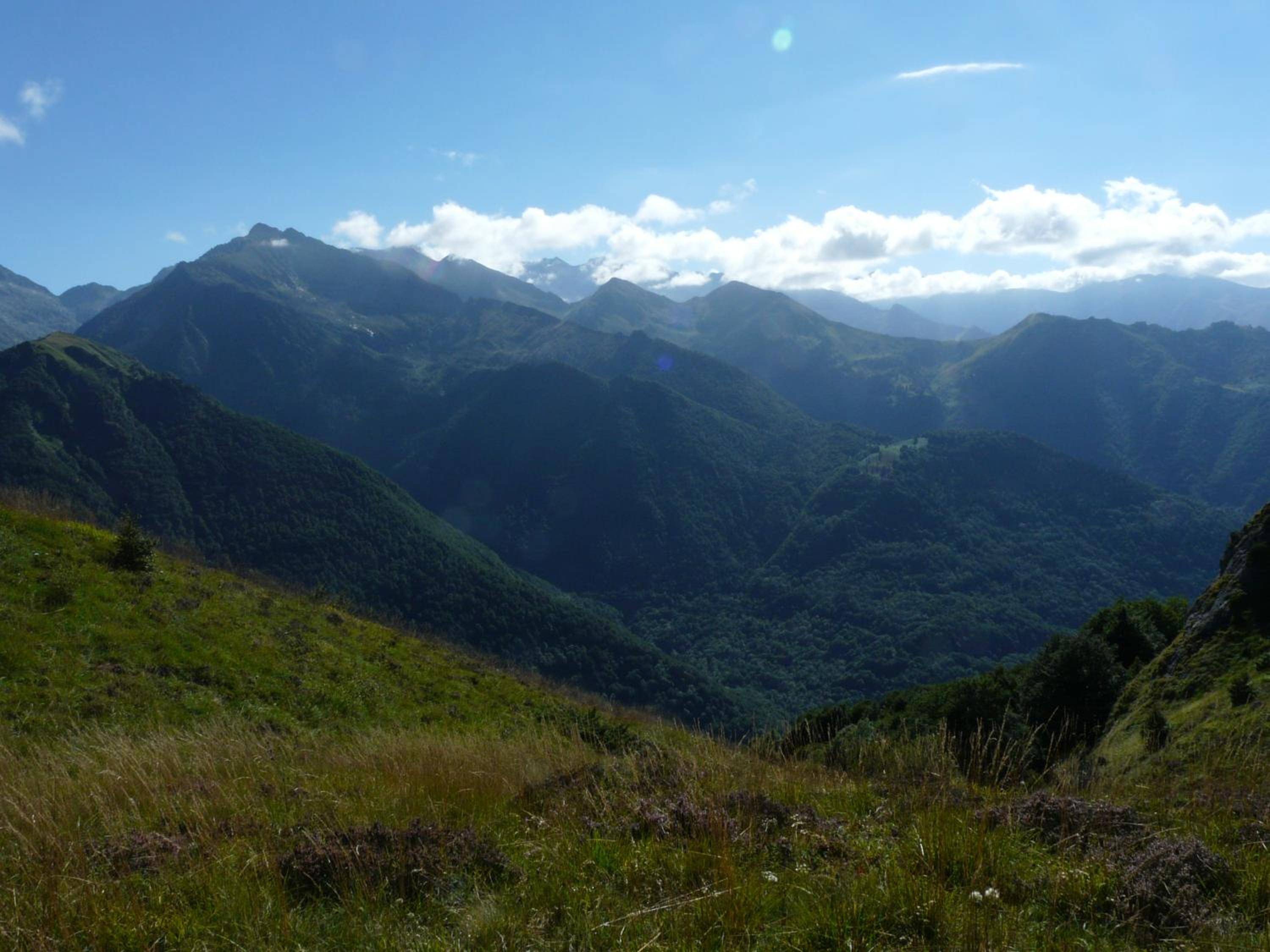 Photo 30