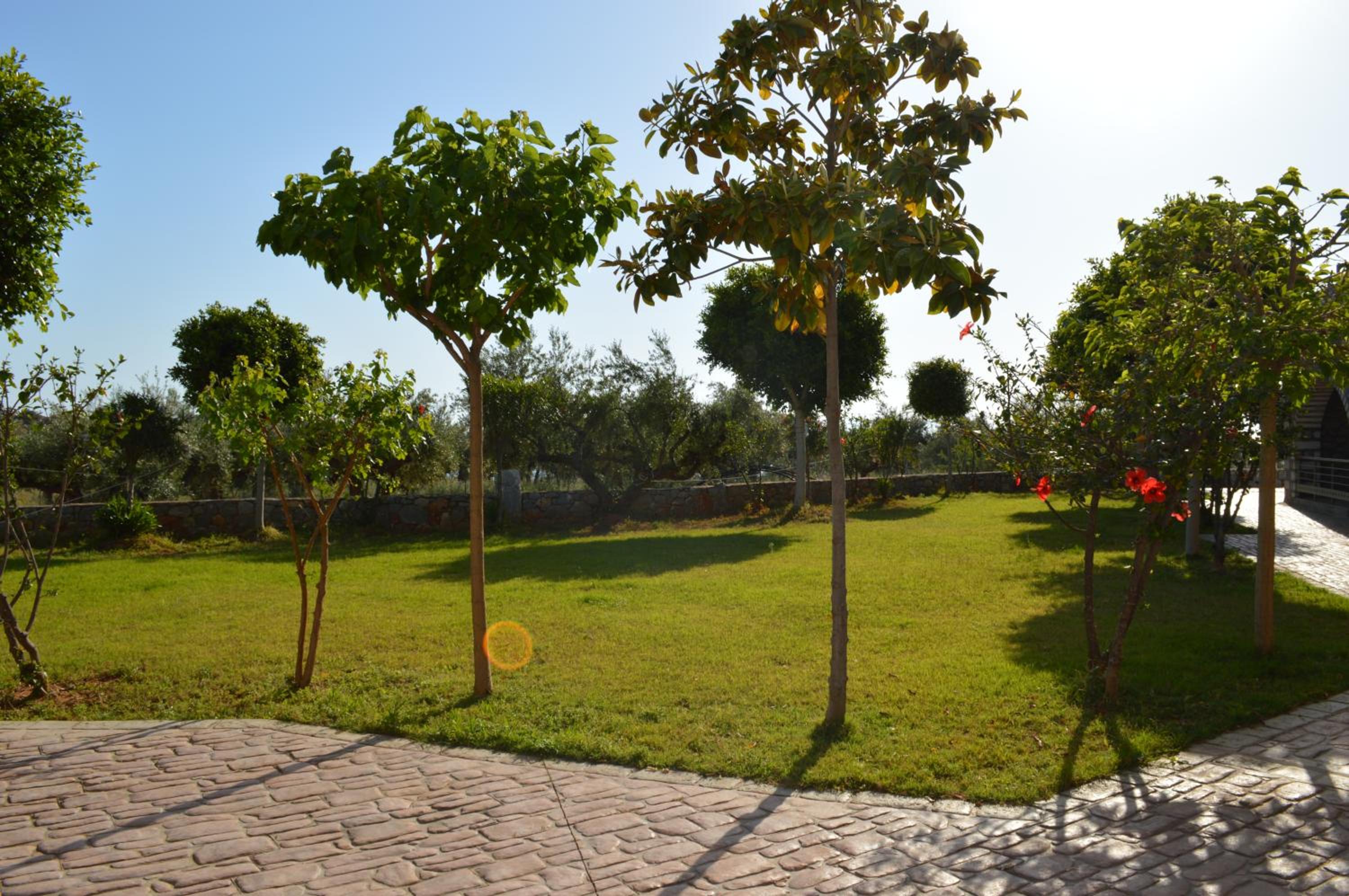 Nefeli Apartments