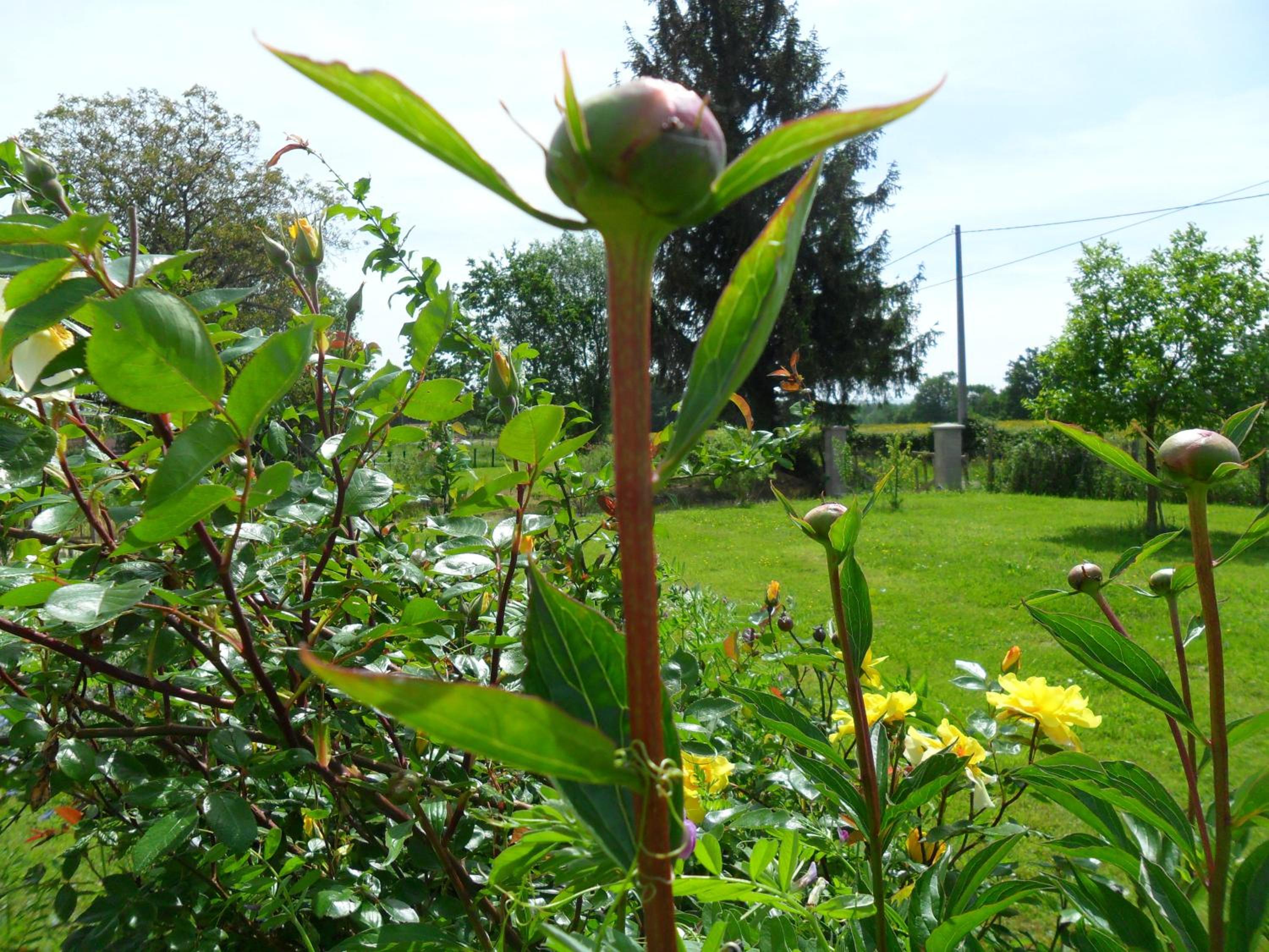 Photo 22