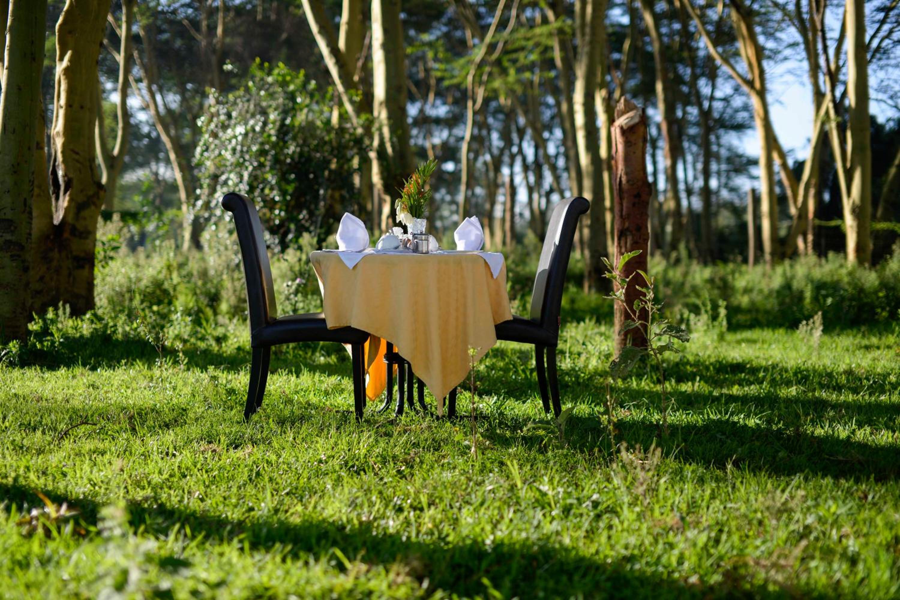outdoor BBQ area