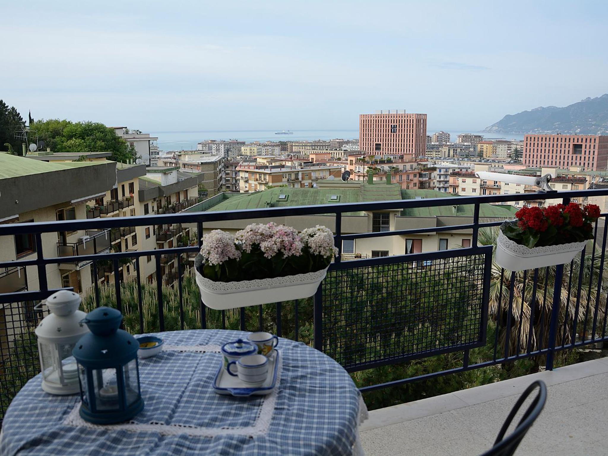 Belvedere 35 view 5
