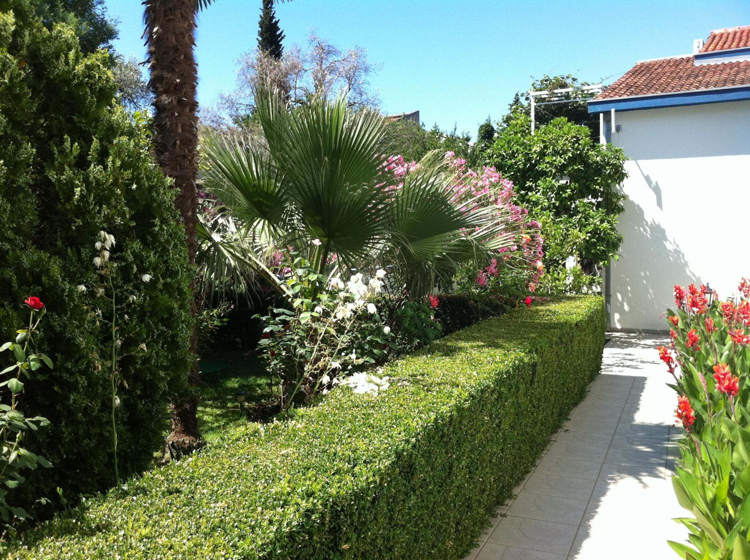 Photo 31