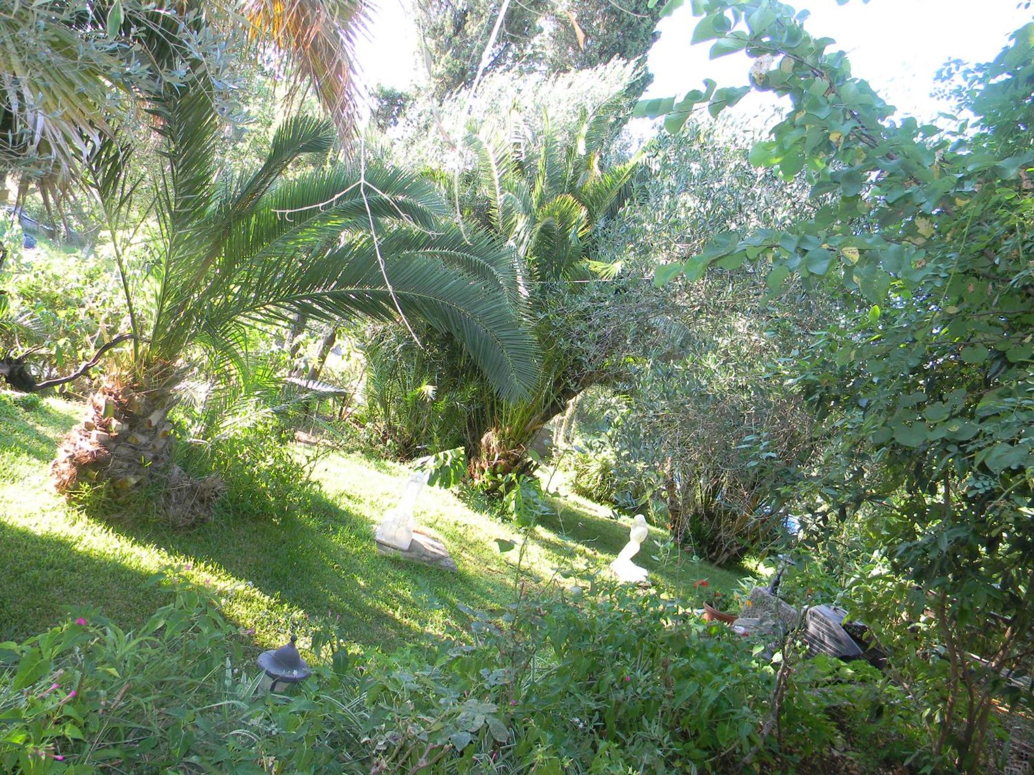 Photo 34