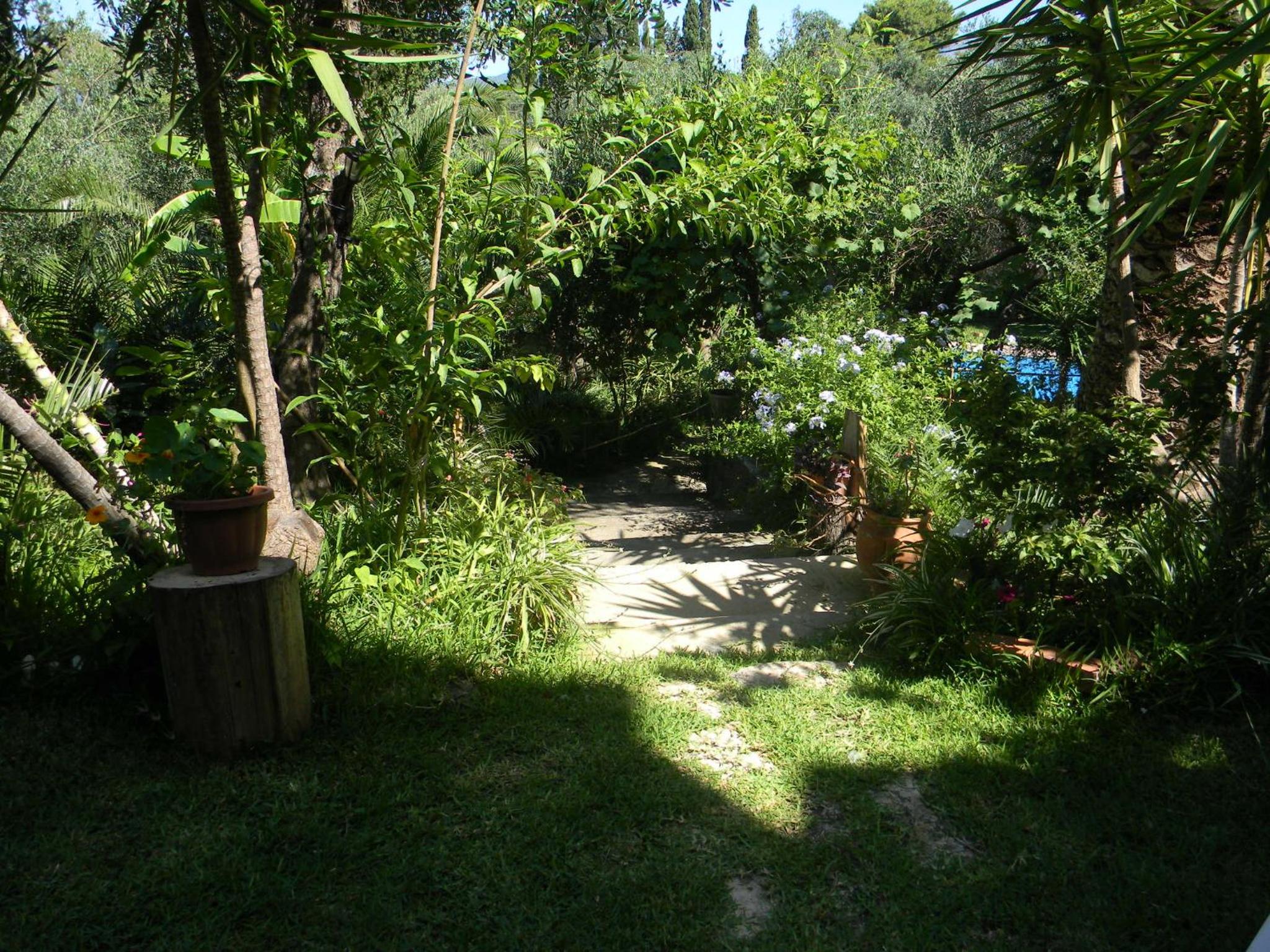 Photo 32