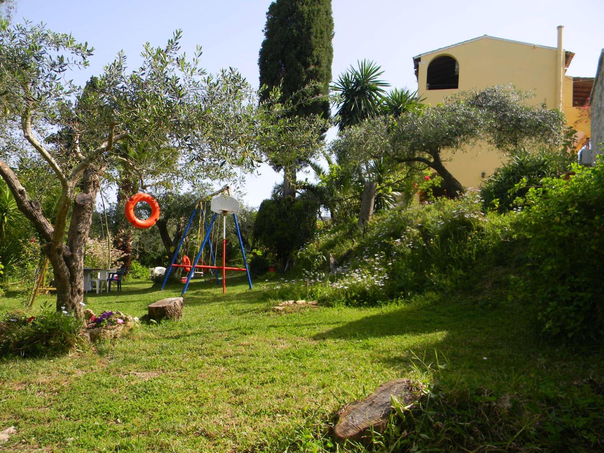 Photo 31