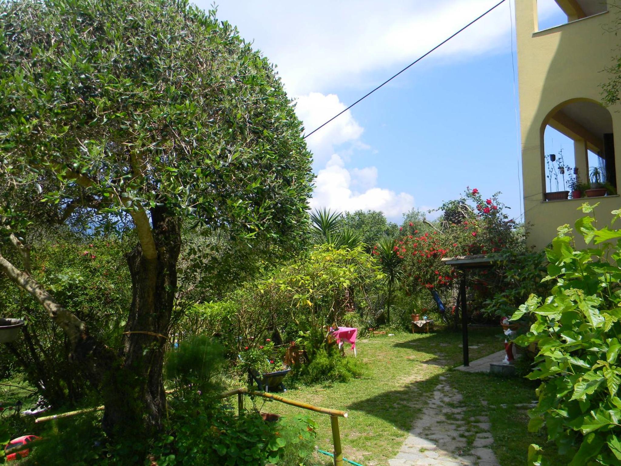 Photo 28