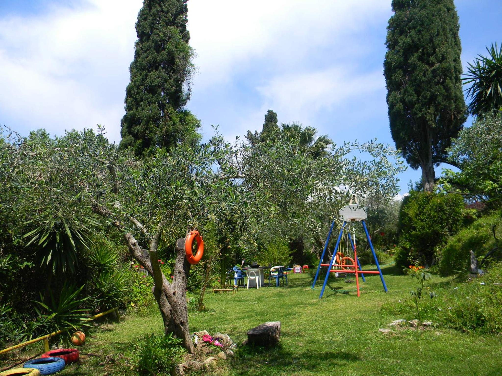 Photo 26