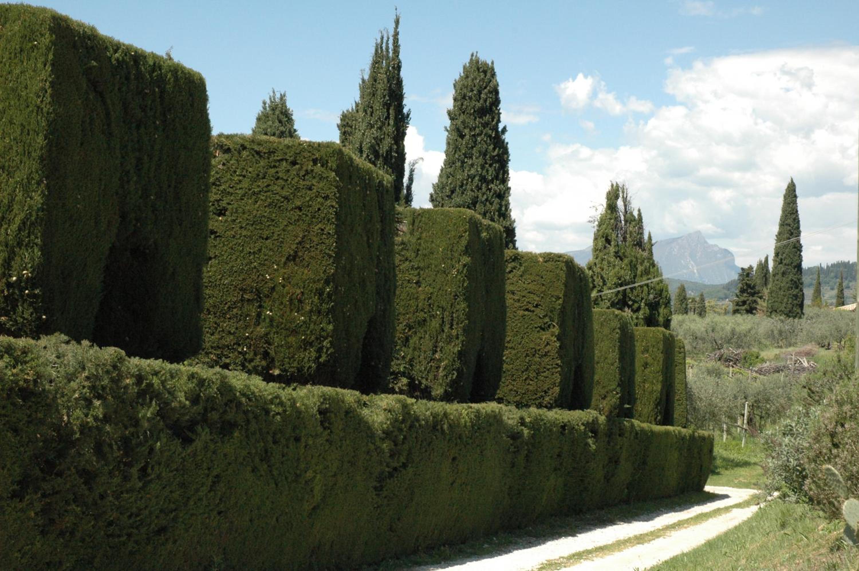 Agriturismo Tenuta la Pergola view 2