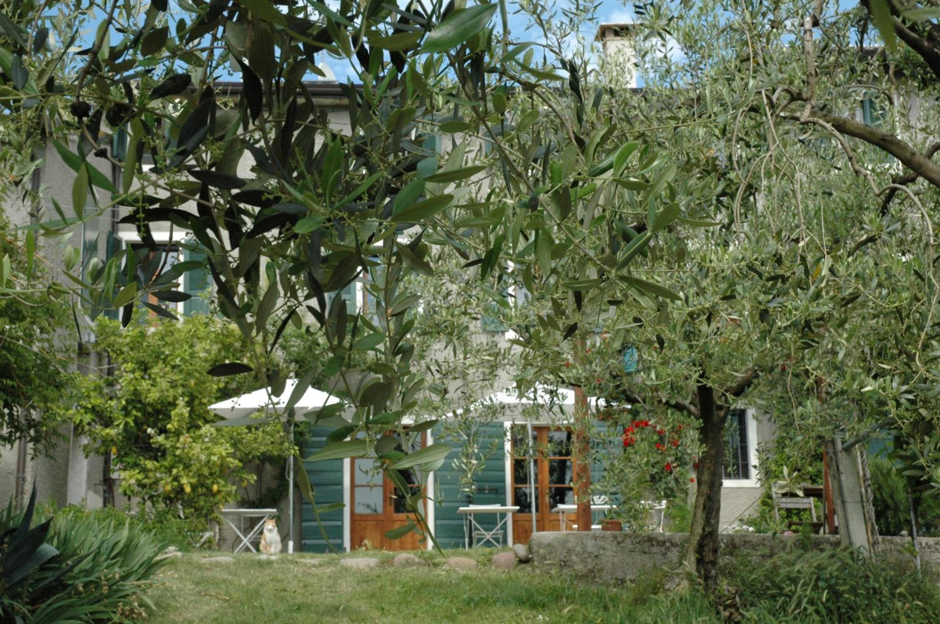 Photo 30