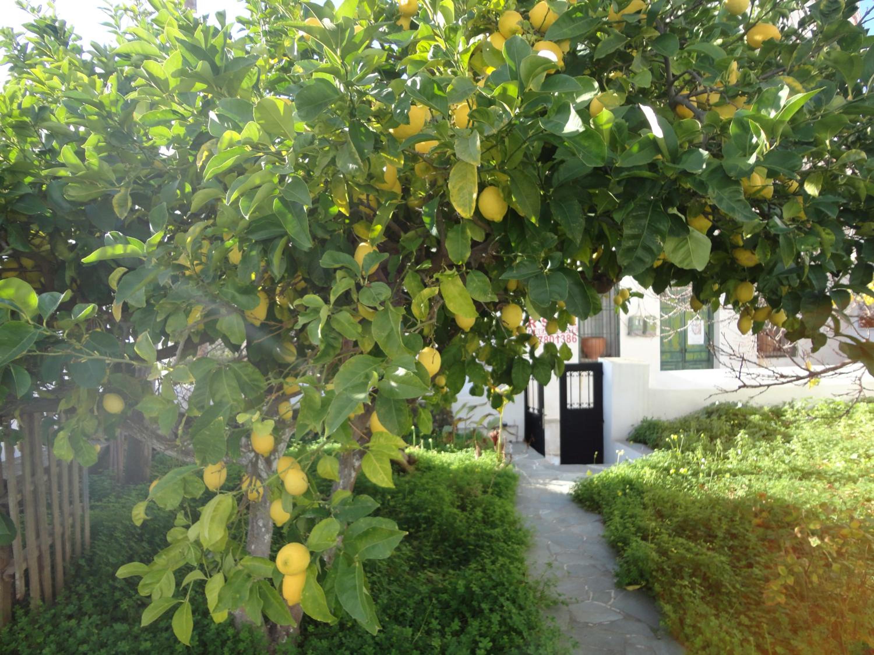 Photo 52