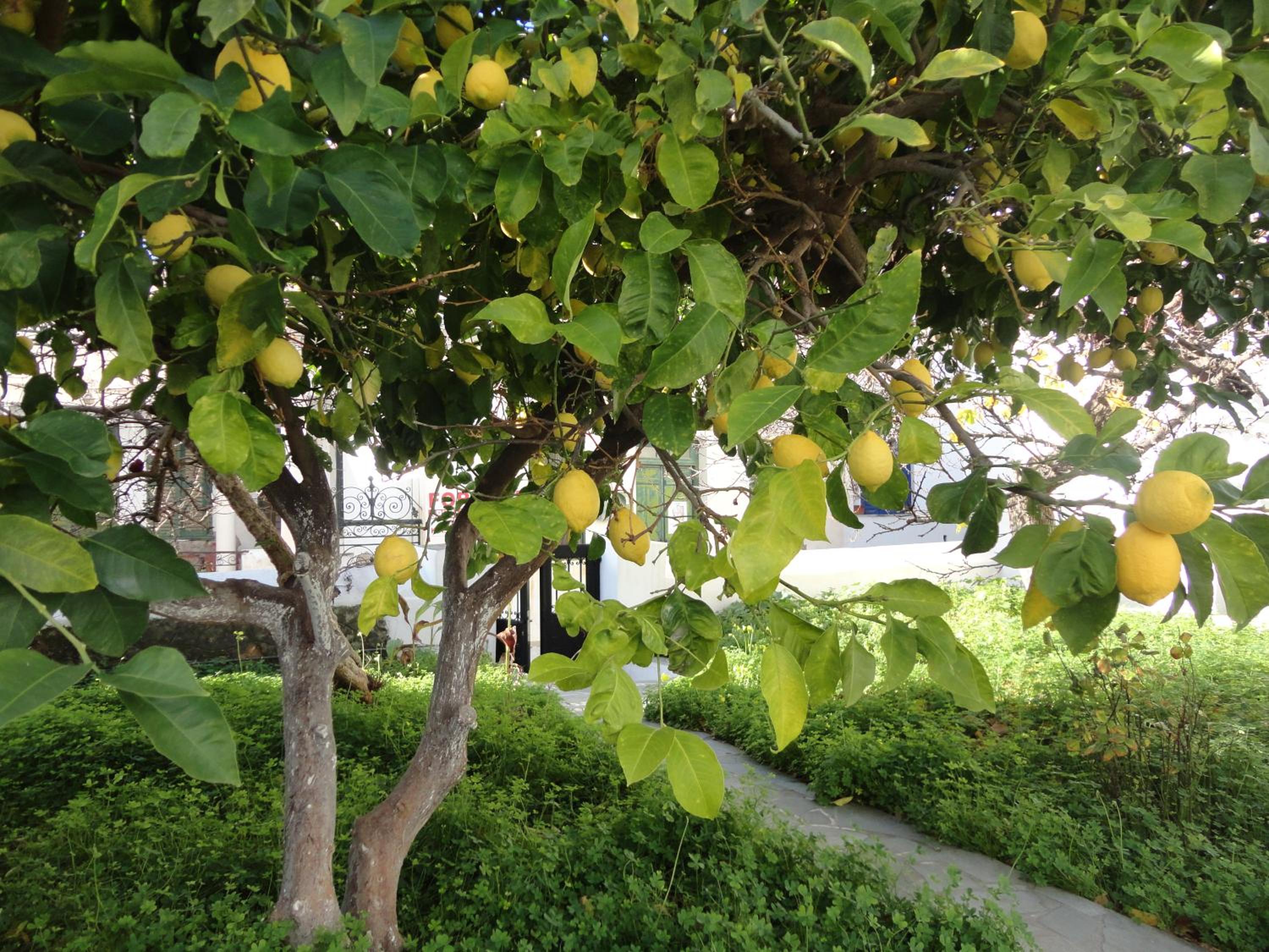 Photo 28