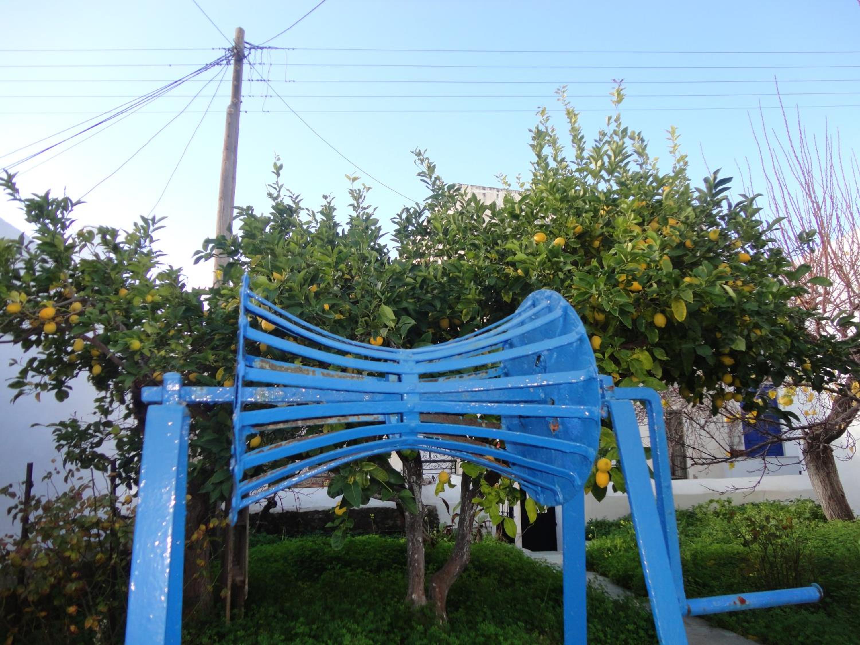 Photo 30
