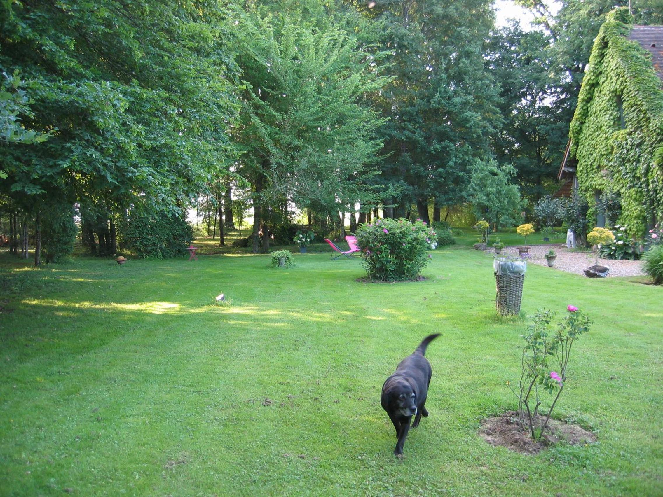 Photo 28