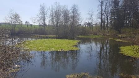Photo 34