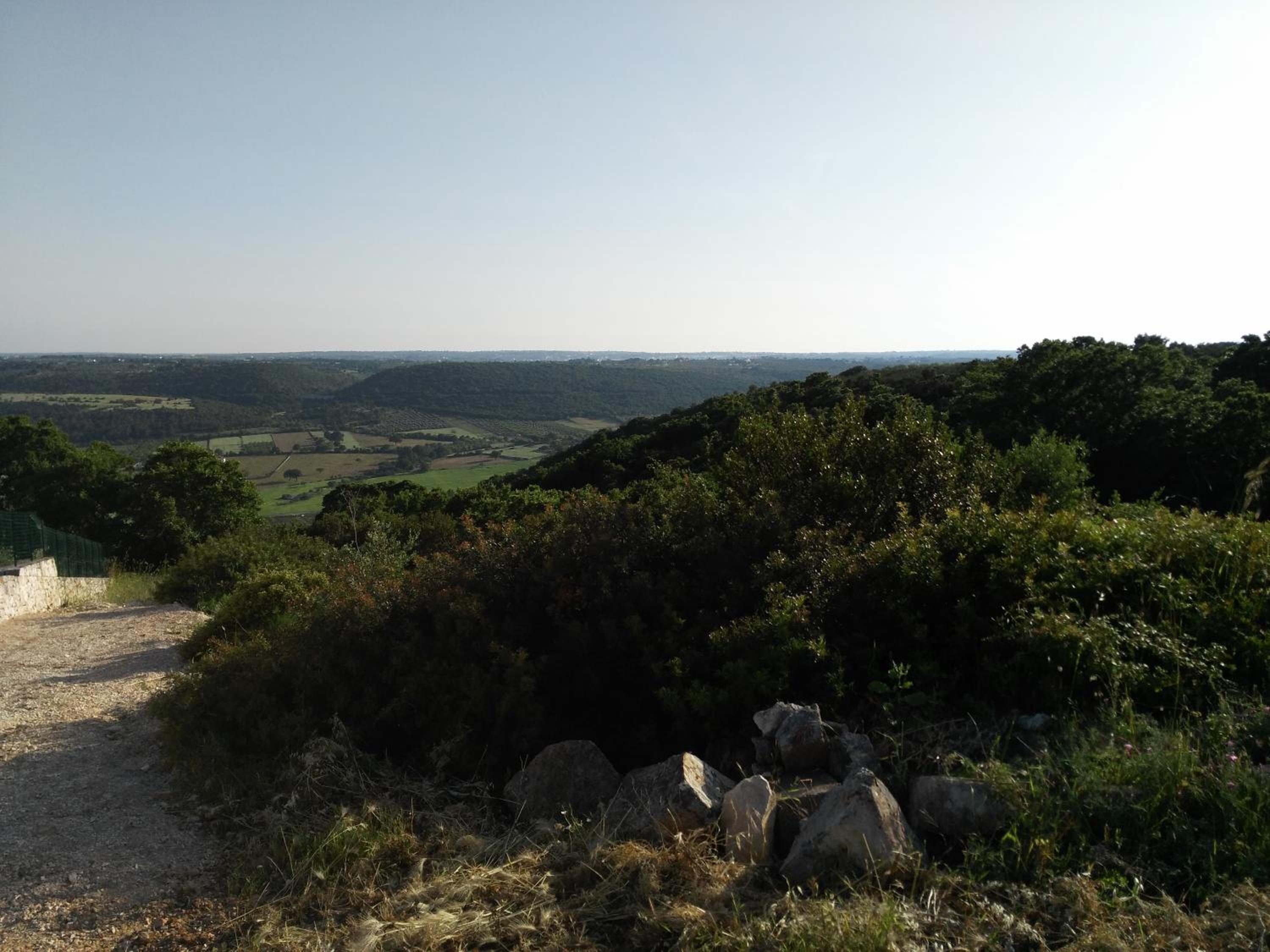 La Suite nel Bosco