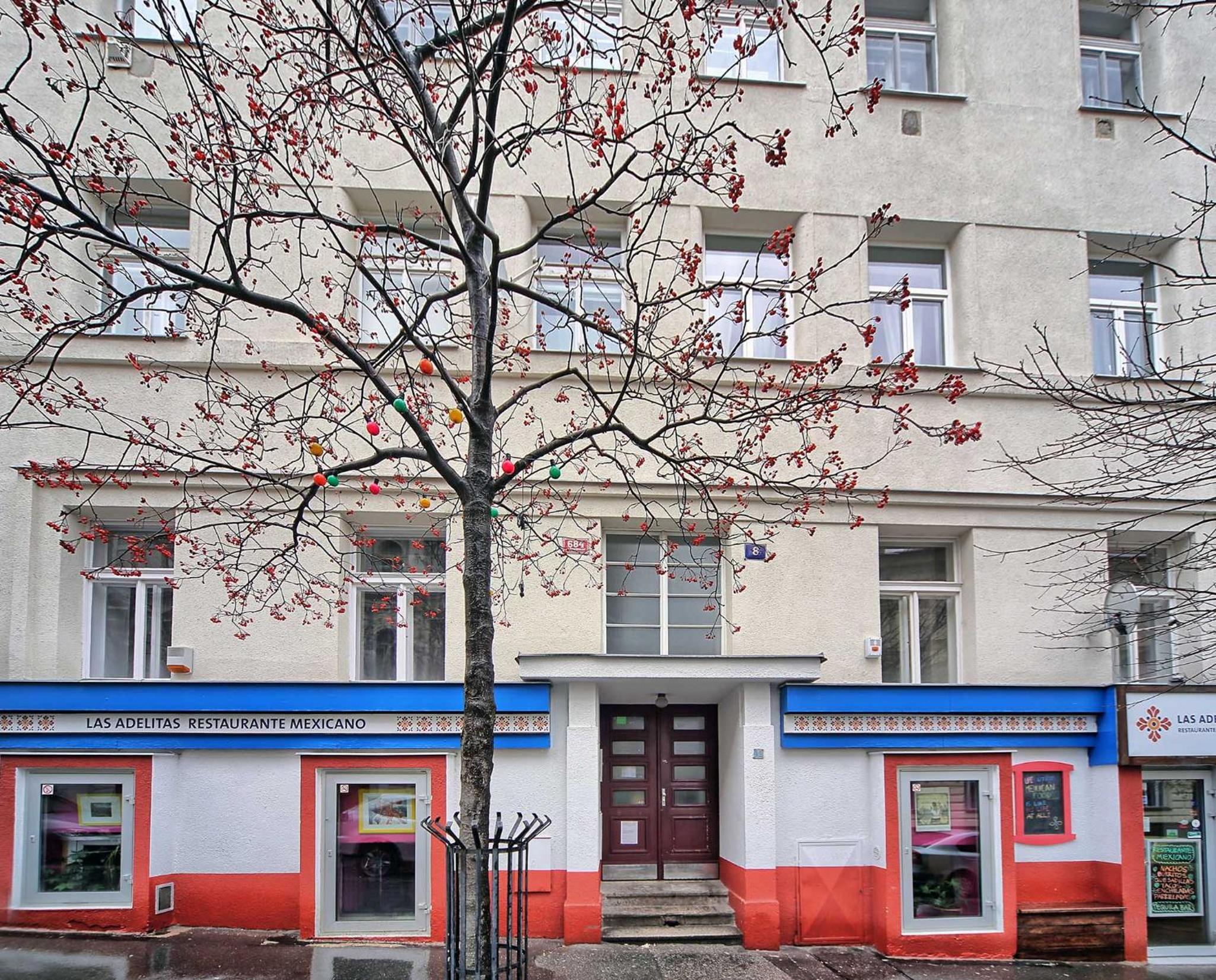 Apartment Americká 8