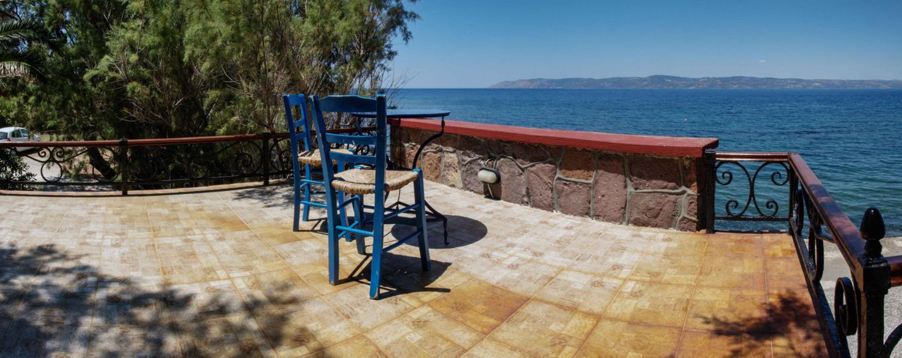 Lela Kaptani Eftalou Olive Grove view 5