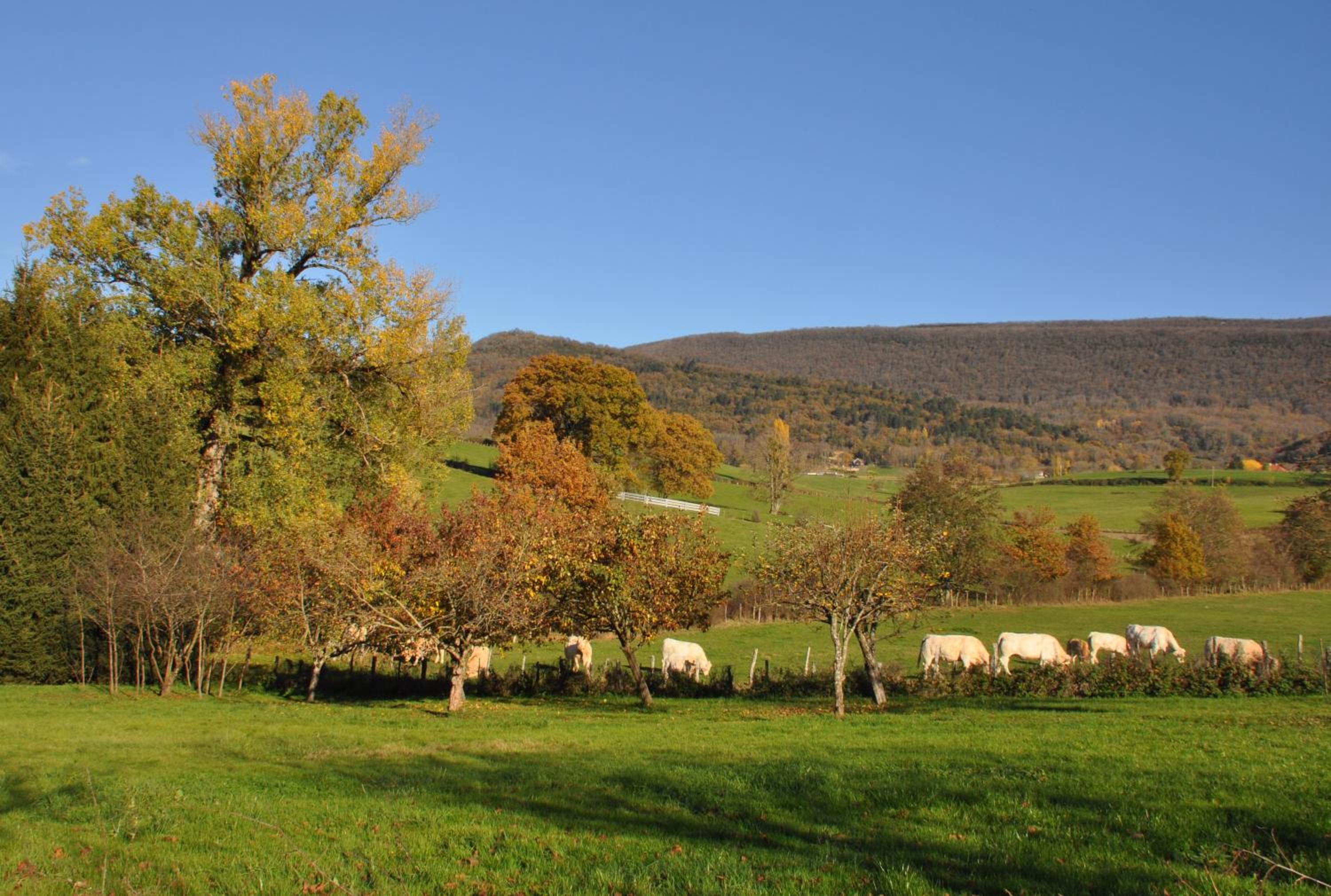 Terres de la Grange