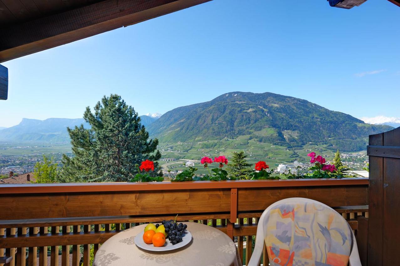 Balcony & Terrace