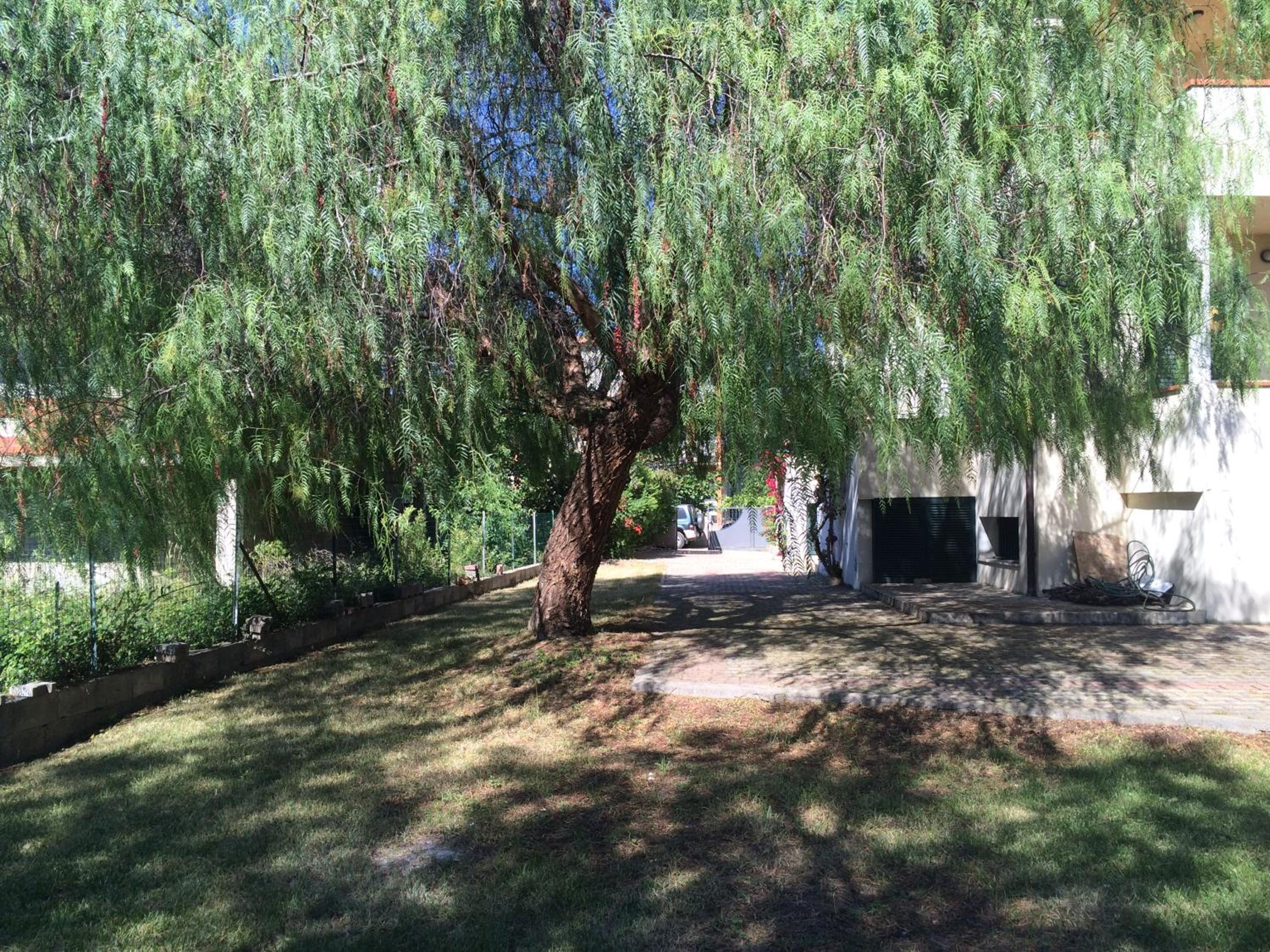 Photo 47